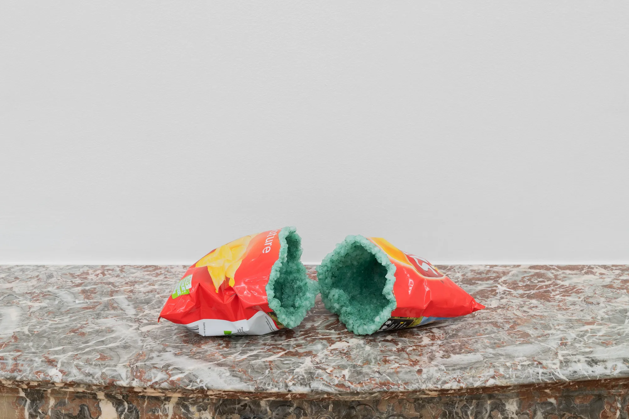 Léo Luccioni LAYS NATURE, 2020 Lays package, epoxy resin, PET, pigments, borax, cotton, aluminium 13 x 33 x 21 cm. 5 x 13 x 8 in.