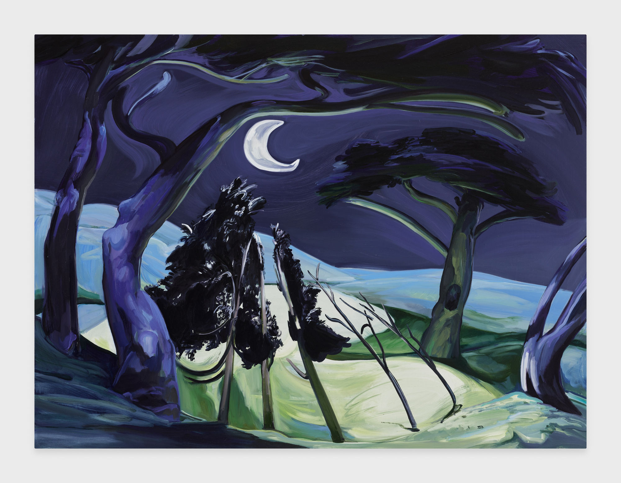 Emma Webster Moon Spotlight, 2021 Oil on linen 76 x 101 cm. 30 x 40 in.