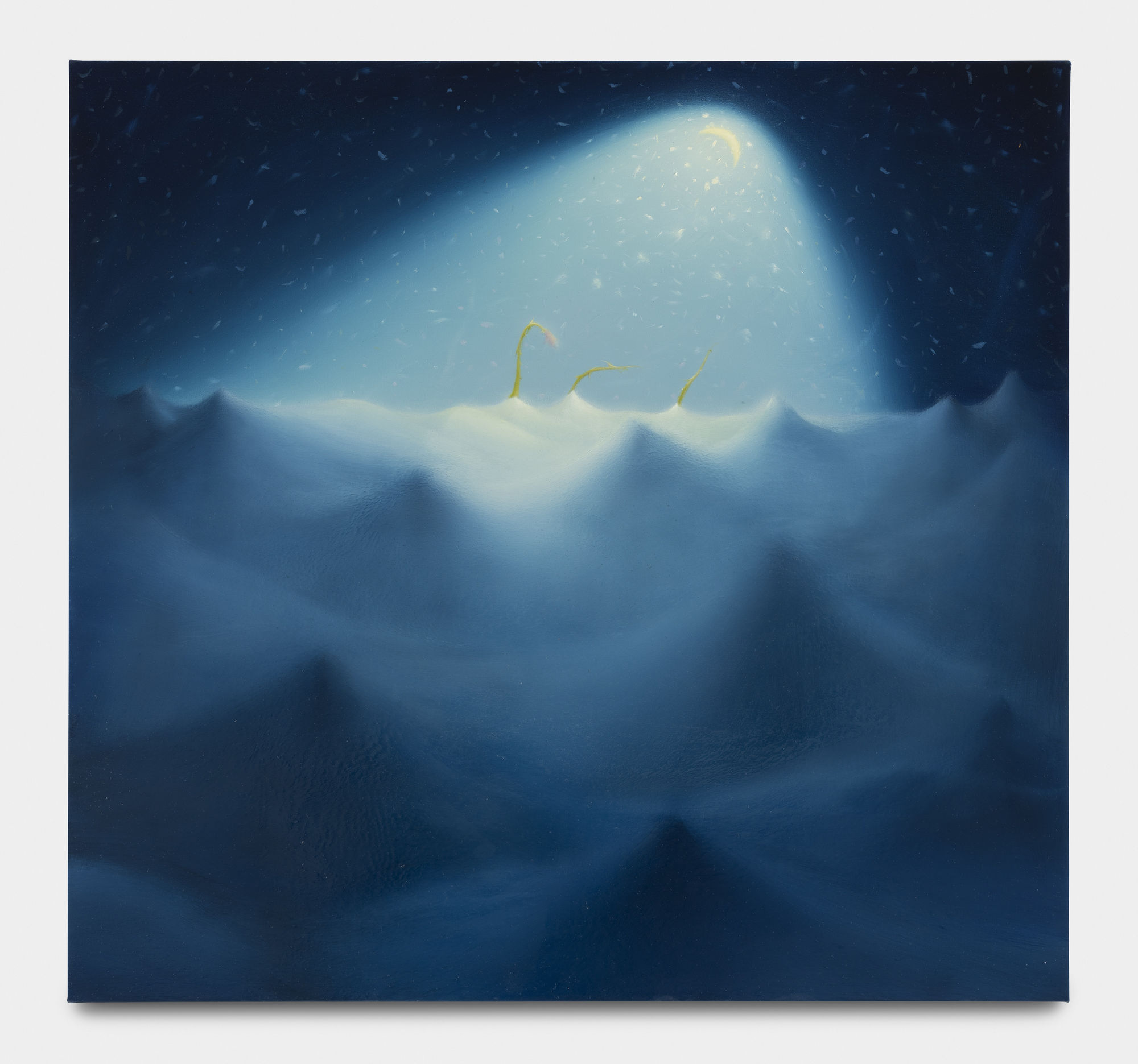 Sarah Lee Spring, 2024 Oil on canvas 81.3 x 86.4 cm. 32 x 34 in.