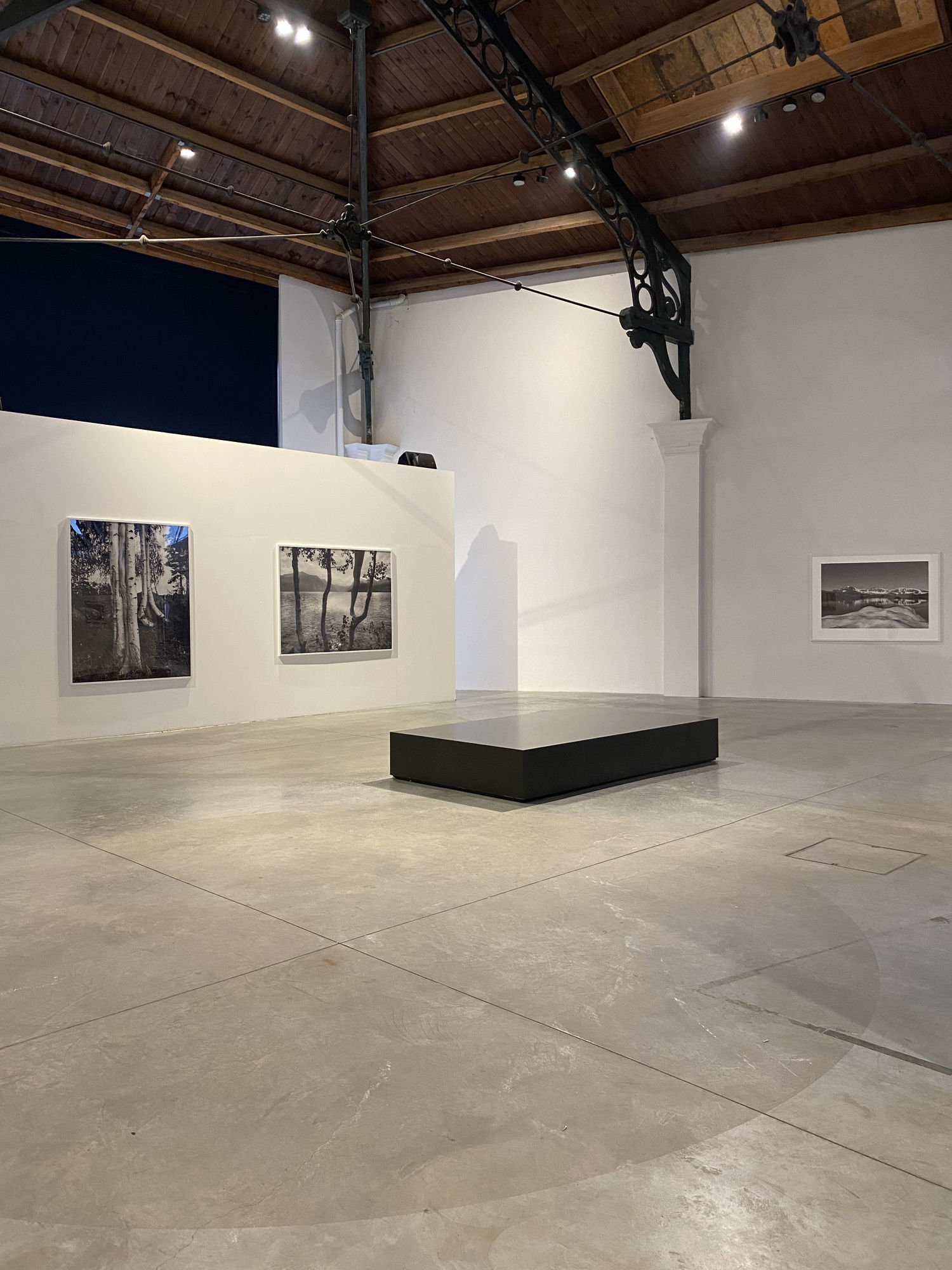 STANDING WITH NATURE