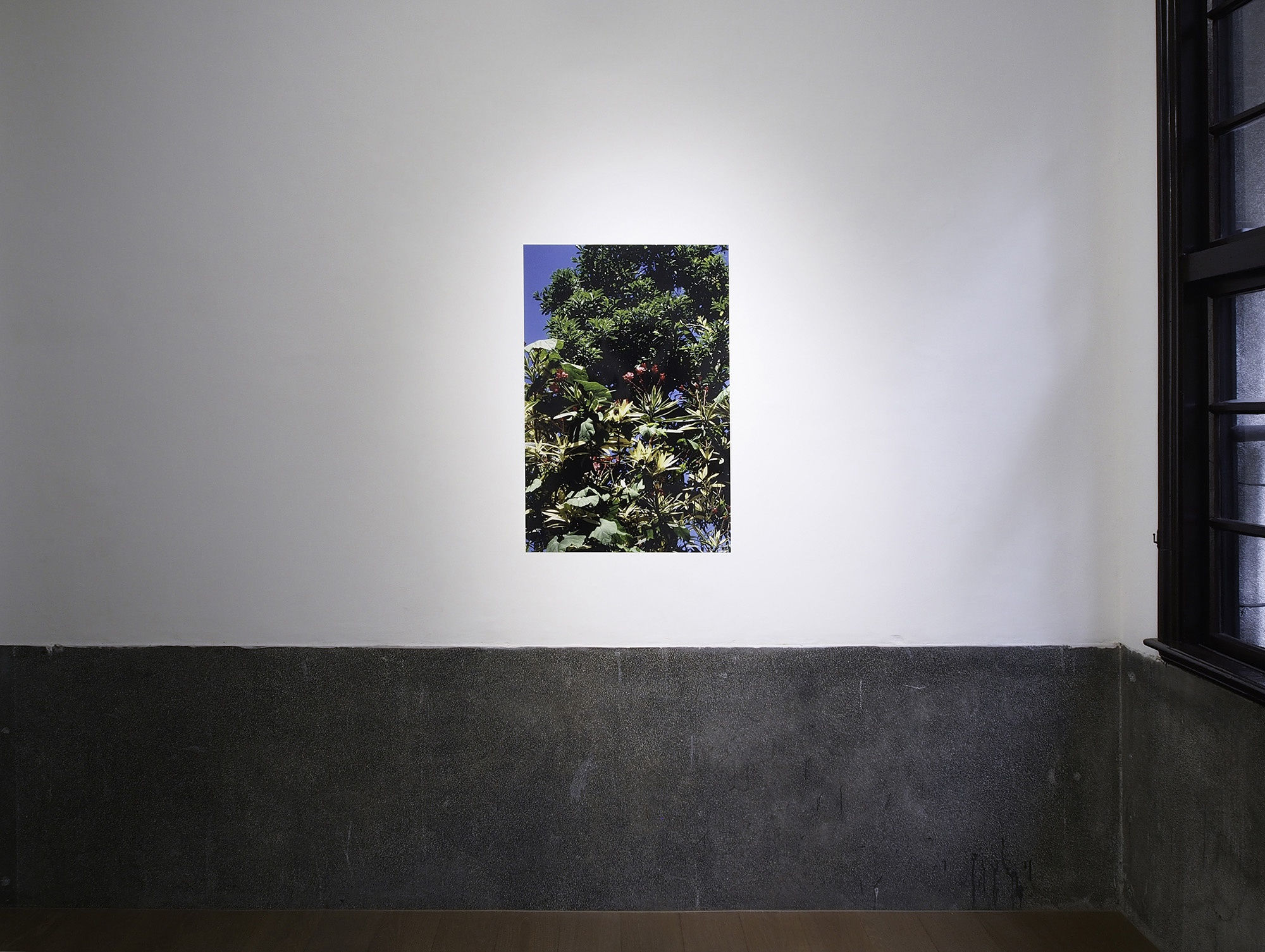 Nakahira Takuma - 1974 to 1989