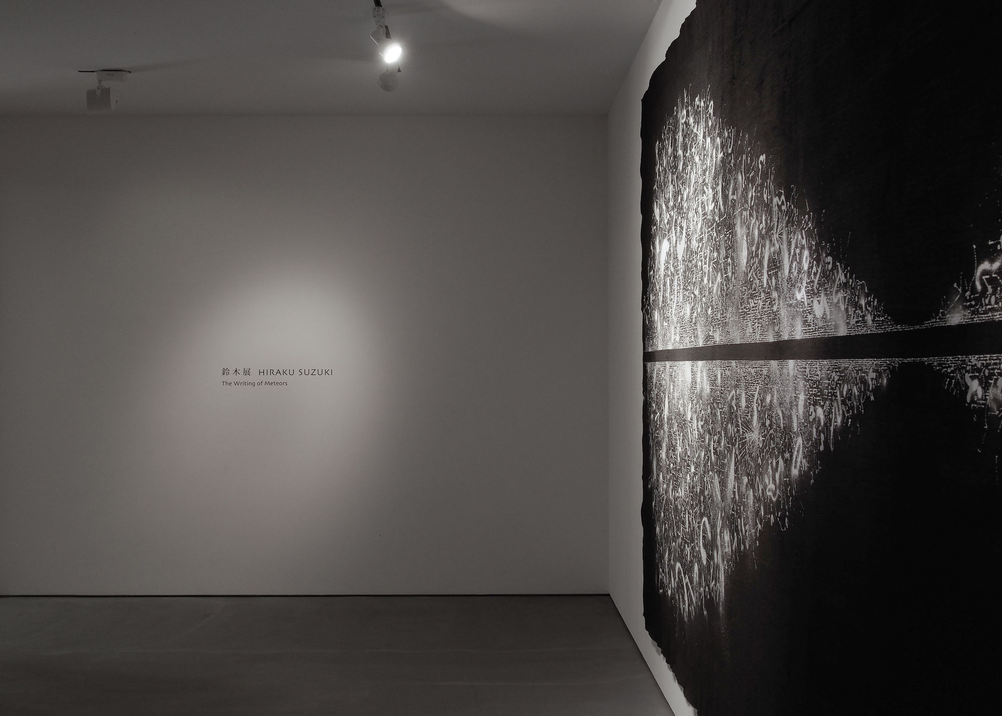 Hiraku Suzuki: The Writing of Meteors