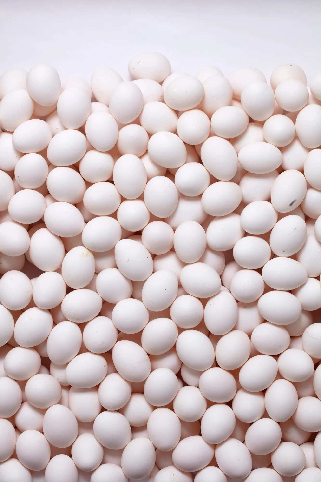 Rodolfo Díaz Cervantes