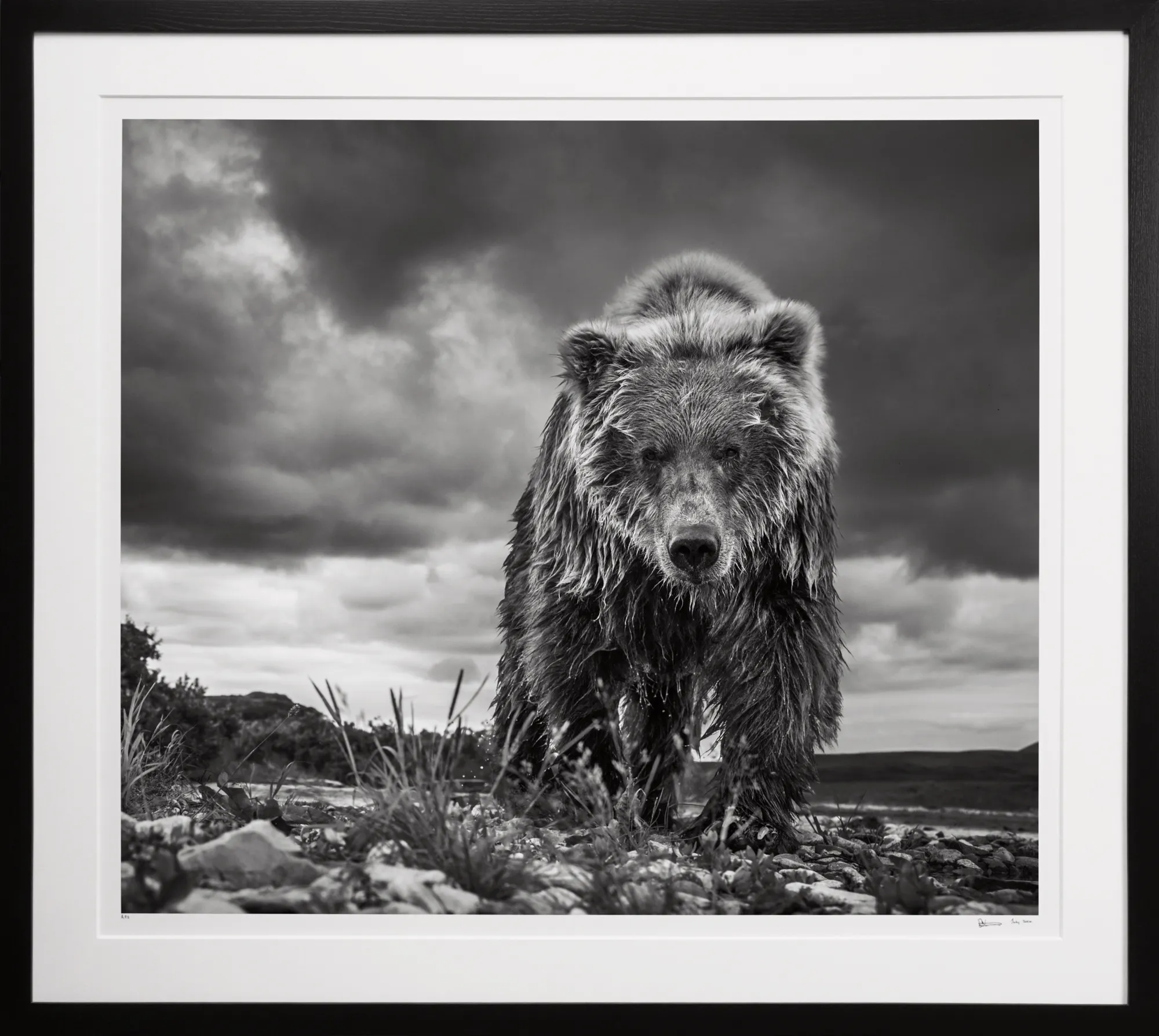 Selected works by David Yarrow
