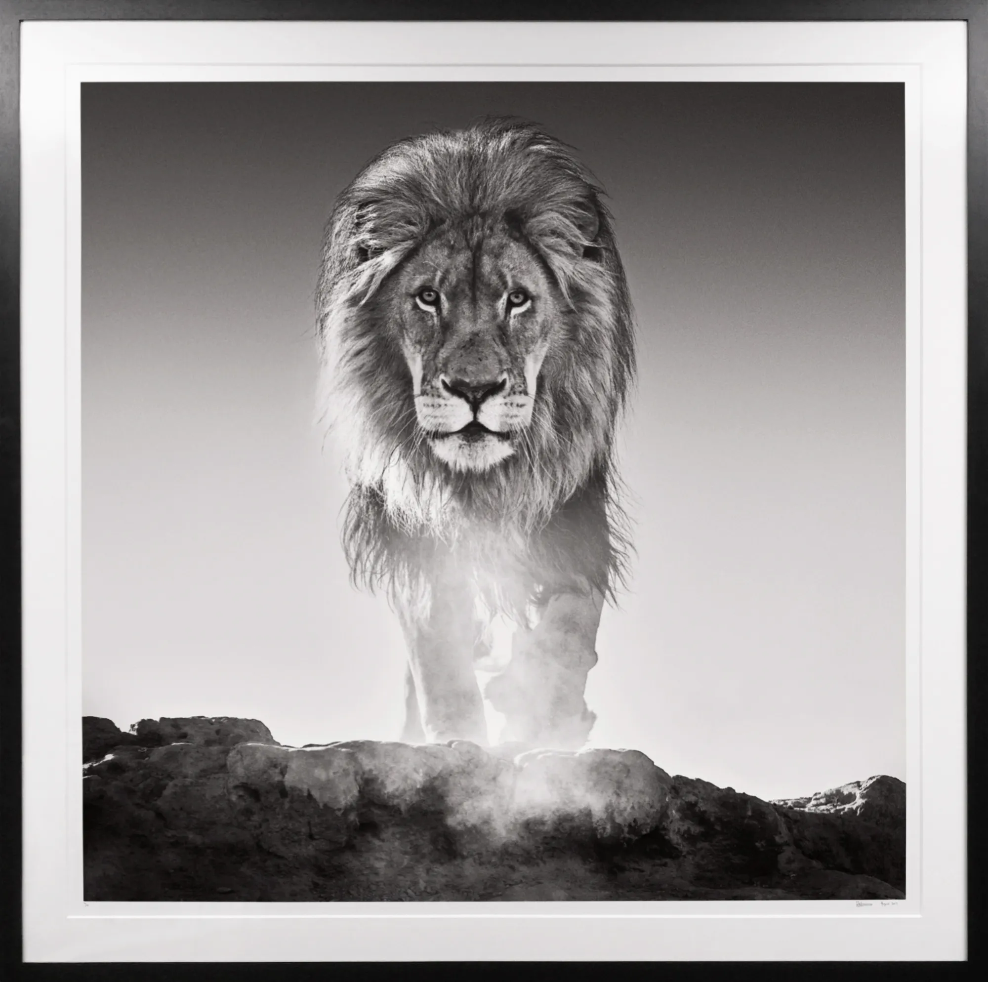 Selected works by David Yarrow