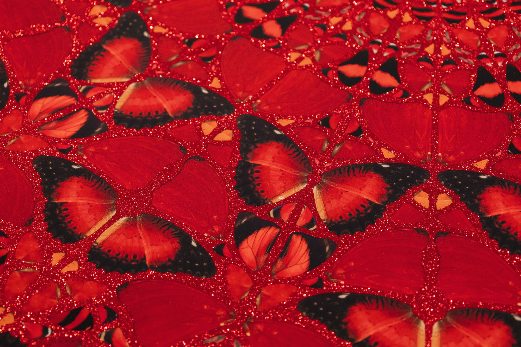 The Empresses by Damien Hirst