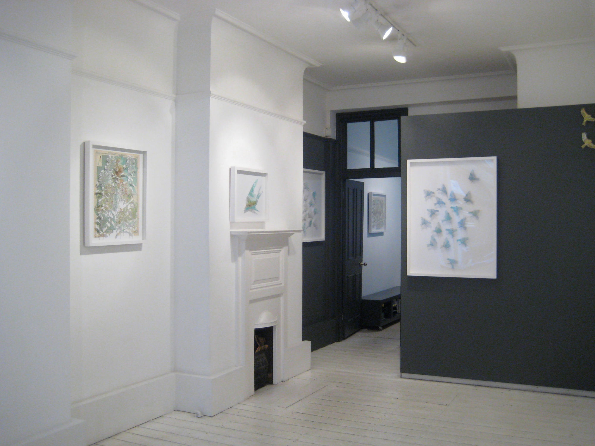 Claire Brewster | Wildlife