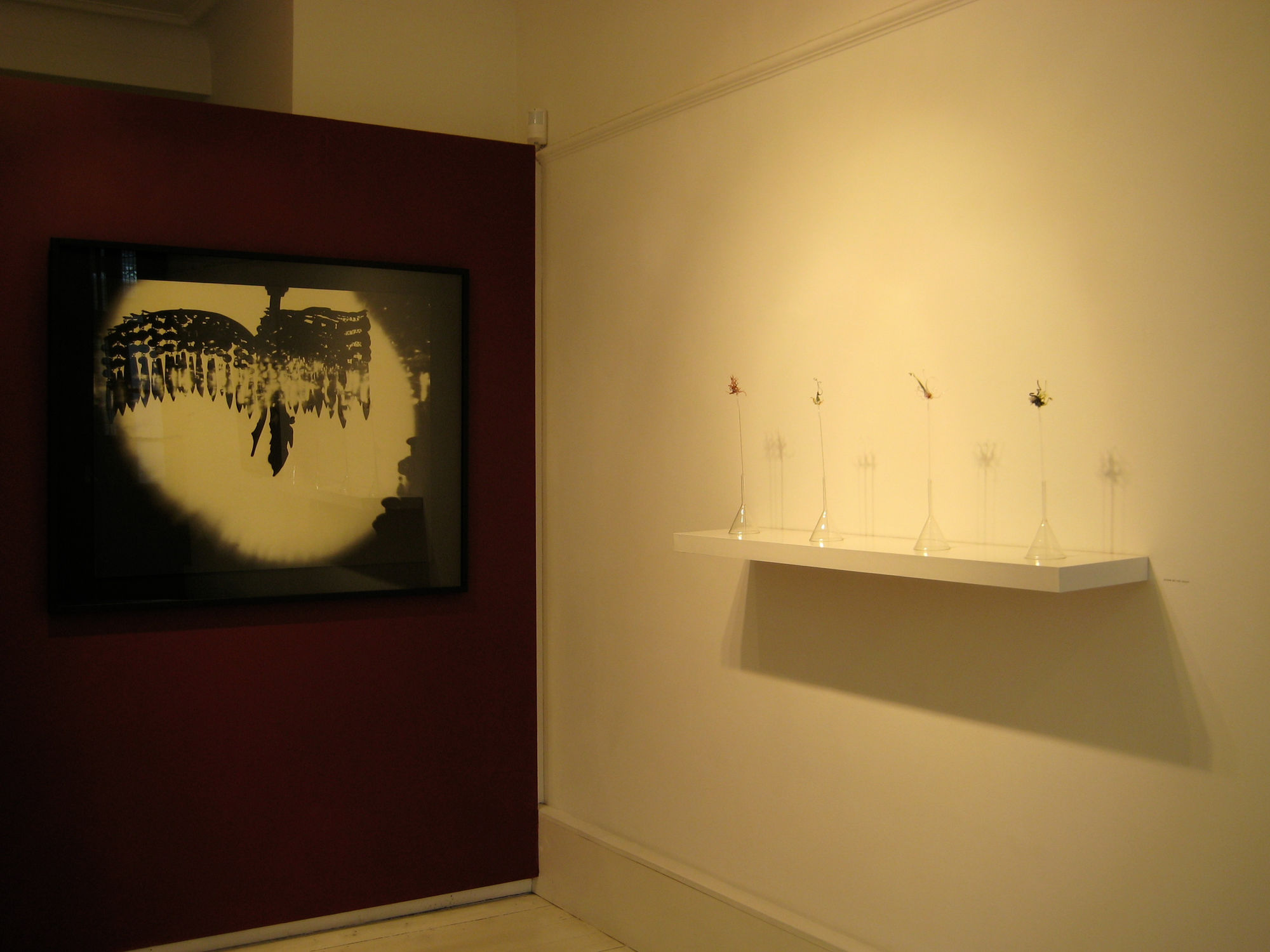 Charlie Murphy | The Longing of Shadows