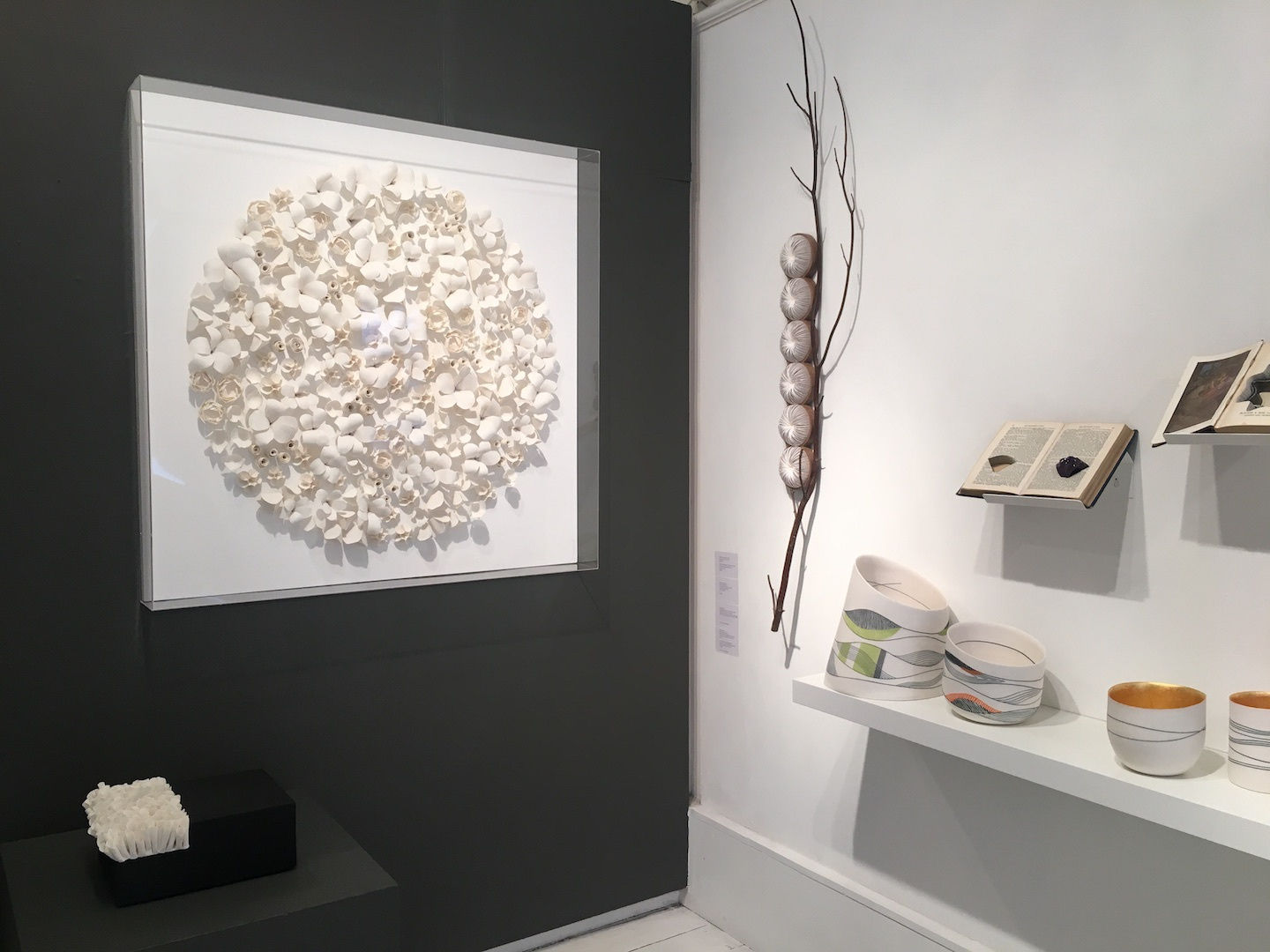 A Cabinet of Curiosities II