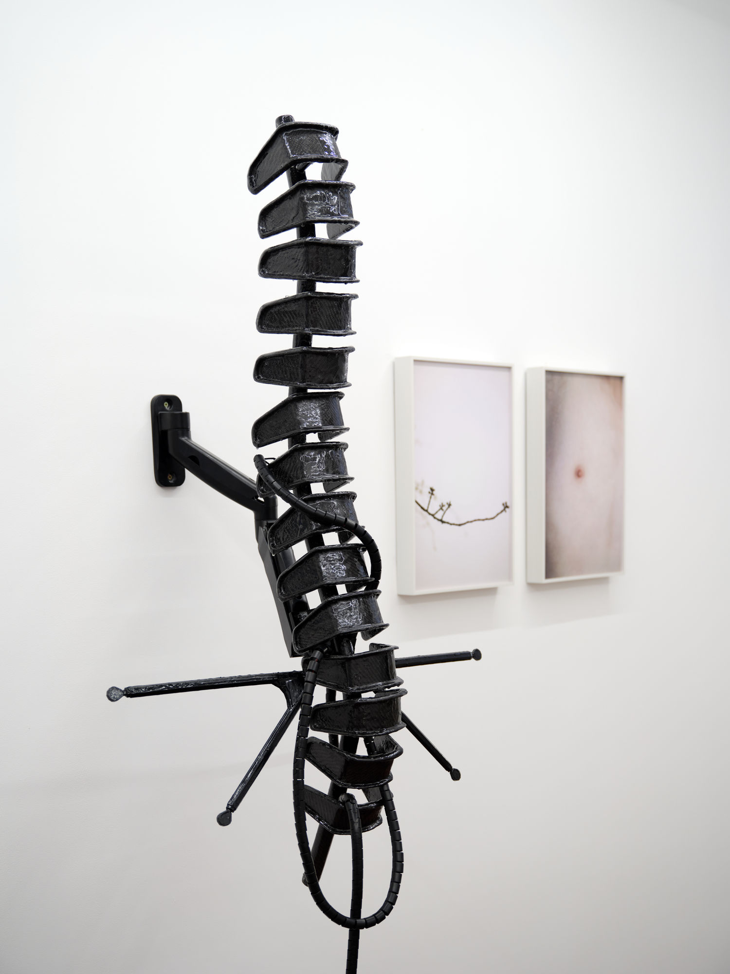 The Retinue of Dionysus