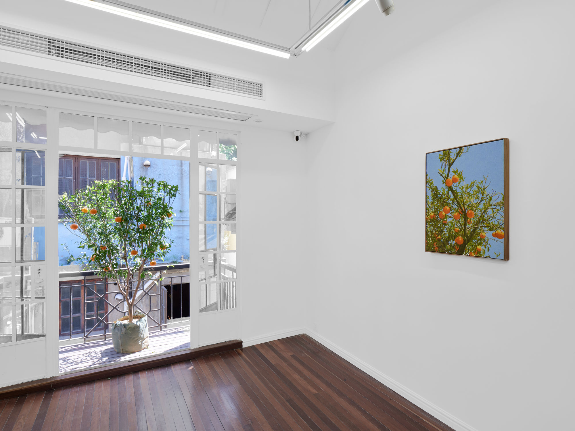 For the Lives We Couldn’t Hold On To