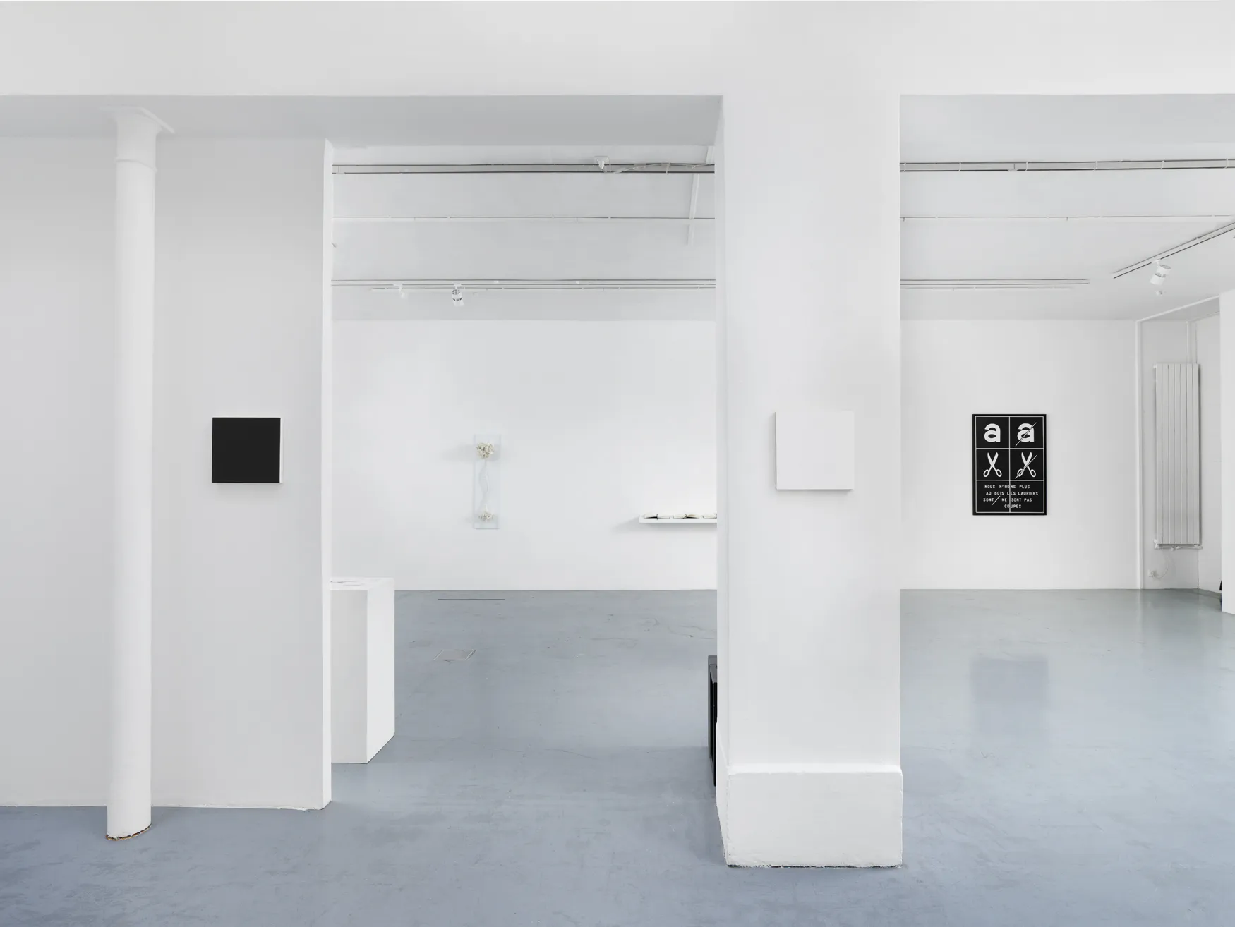 © photo : aurélien mole