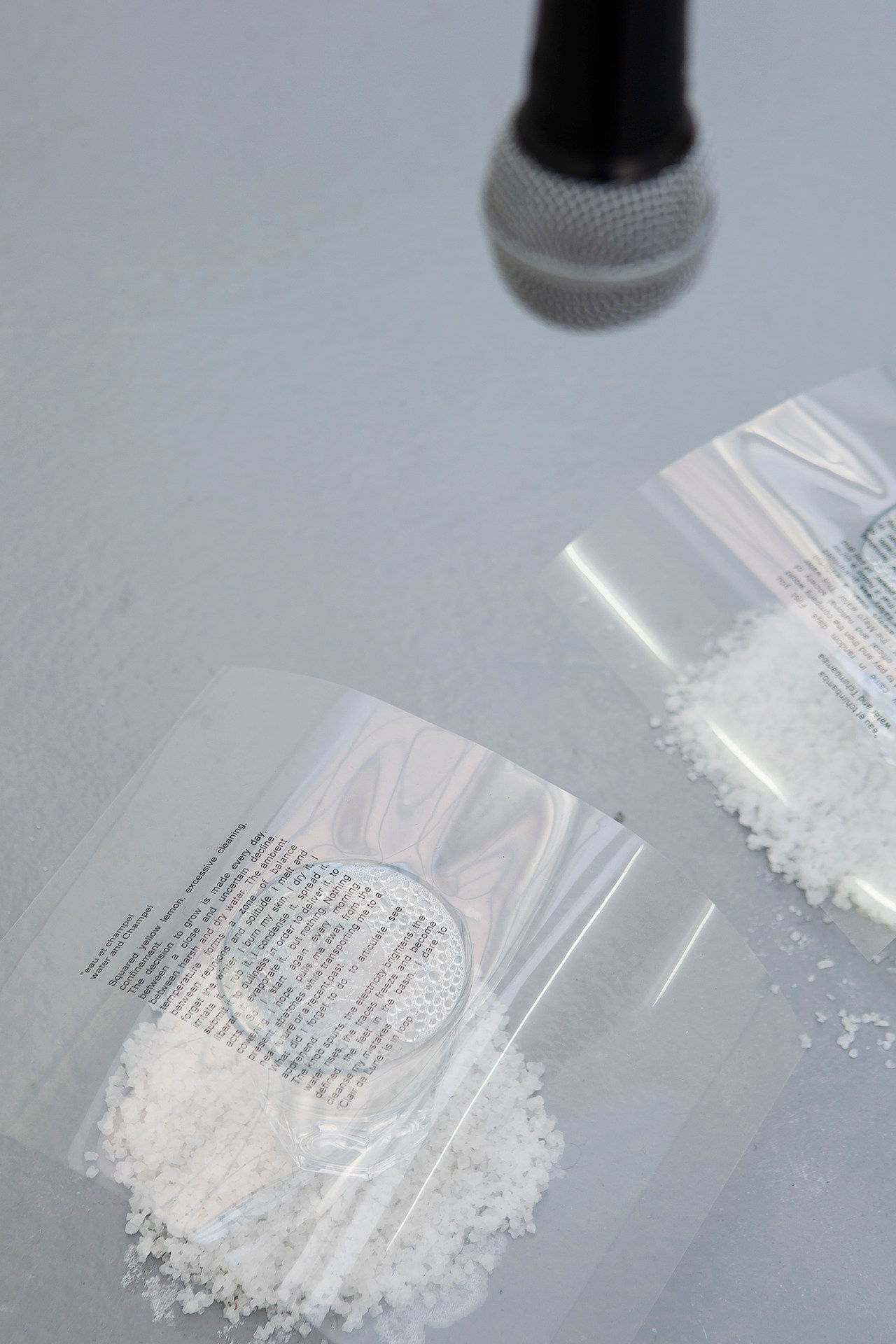 Detail, Water and Atopy, 2019, group exhibition, Governmental Fires, FUTURA, Prague, 2021