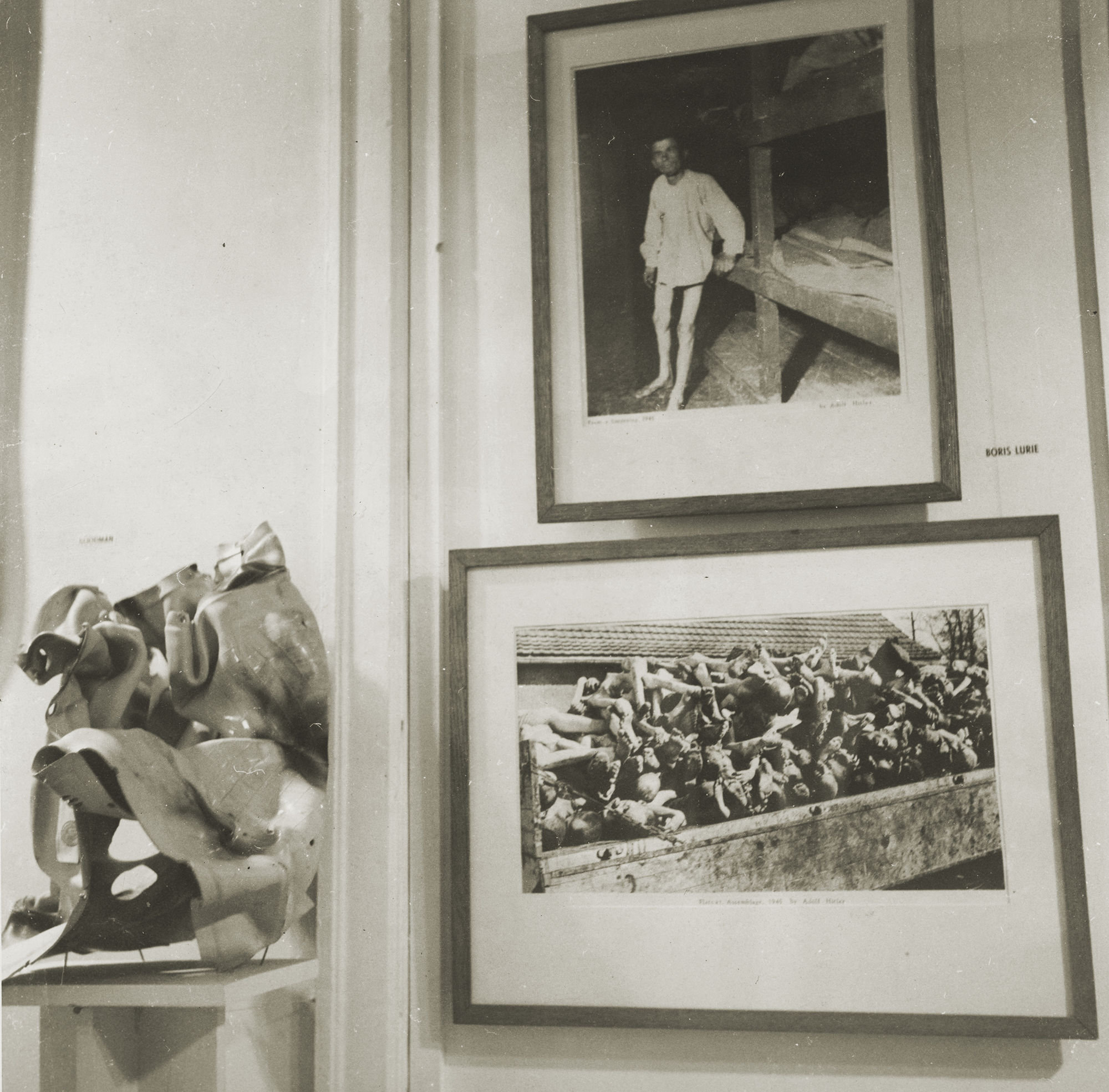 noshow | installation view