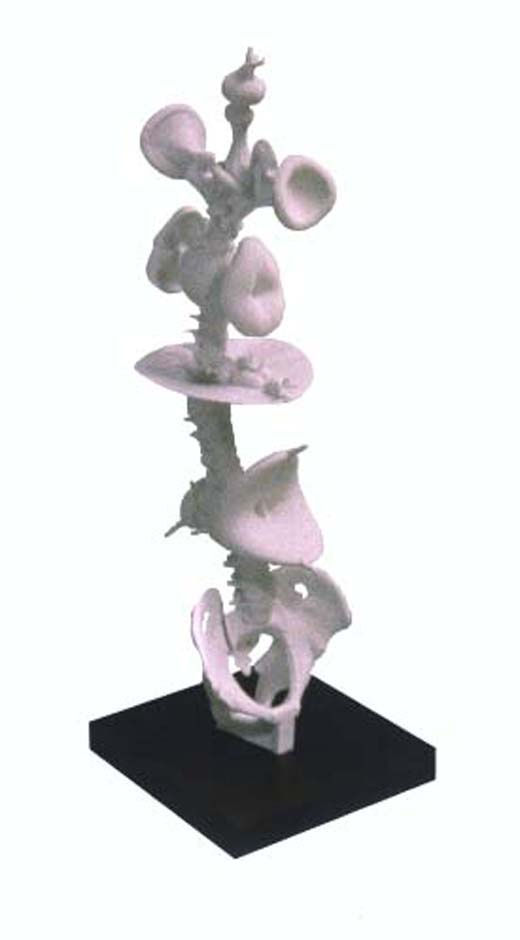 White sculpture resembling a spinal cord