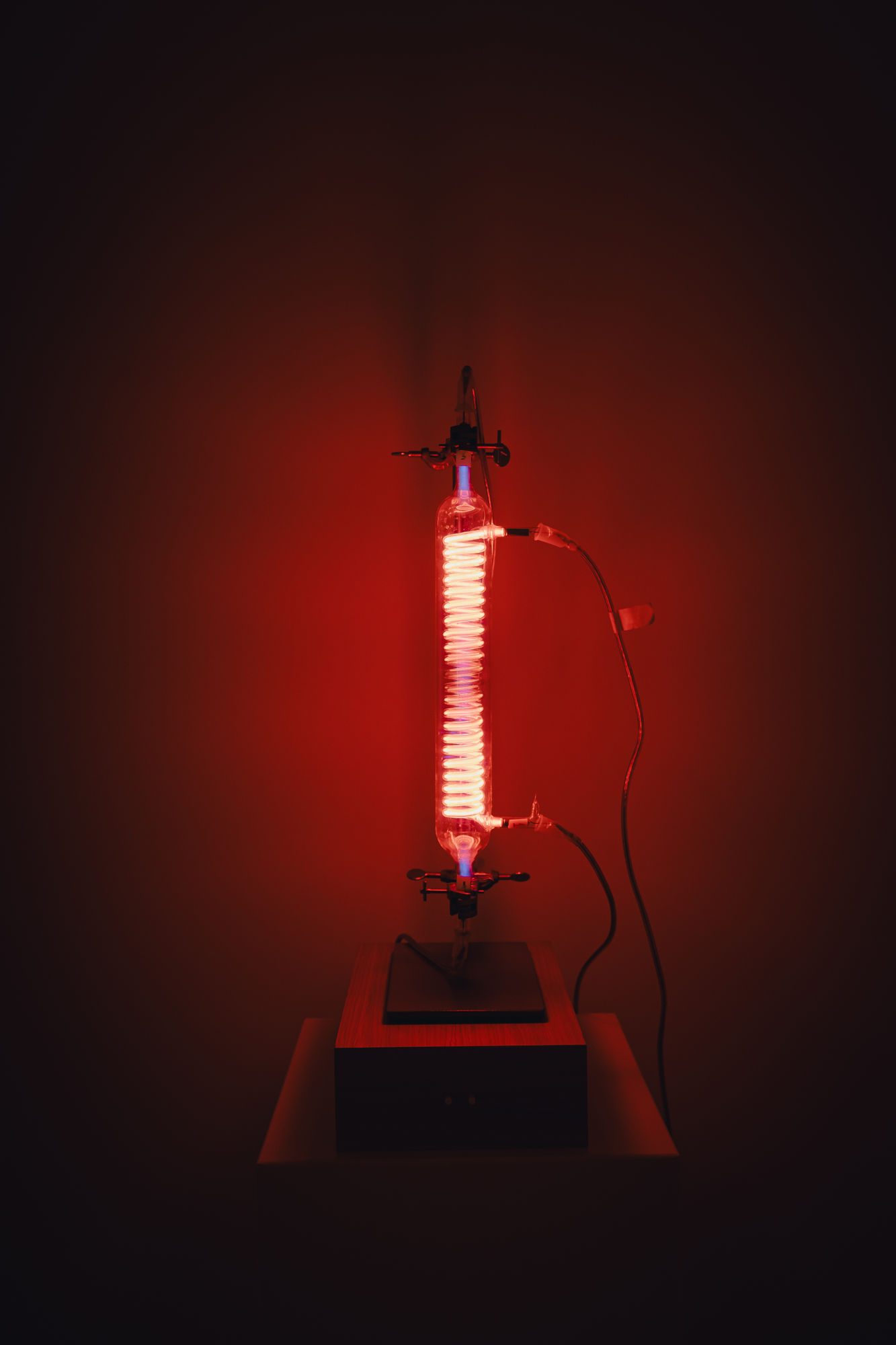 Rolf Sachs — Eingemachtes