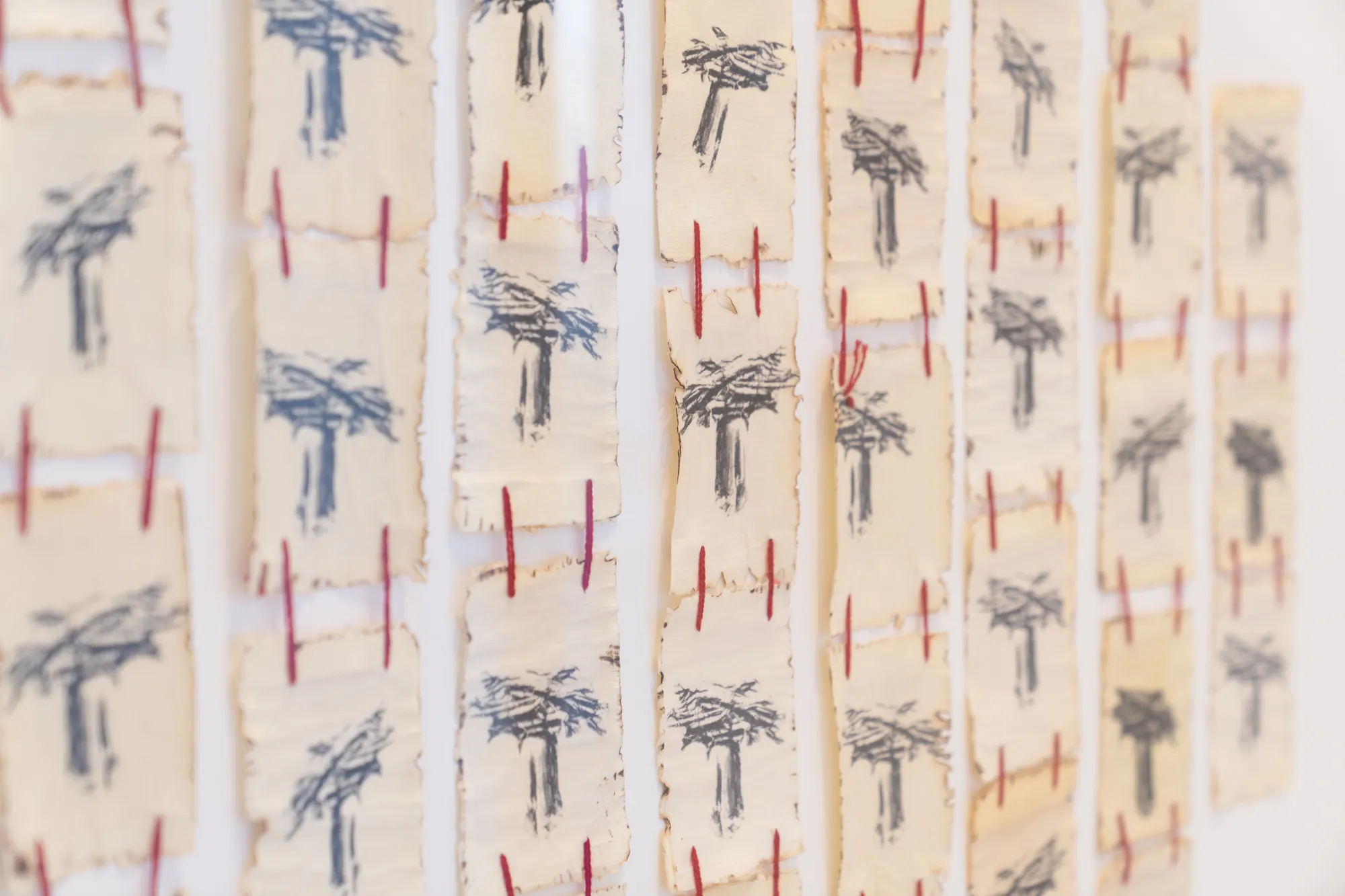 Gathering Wood, Gathering Words