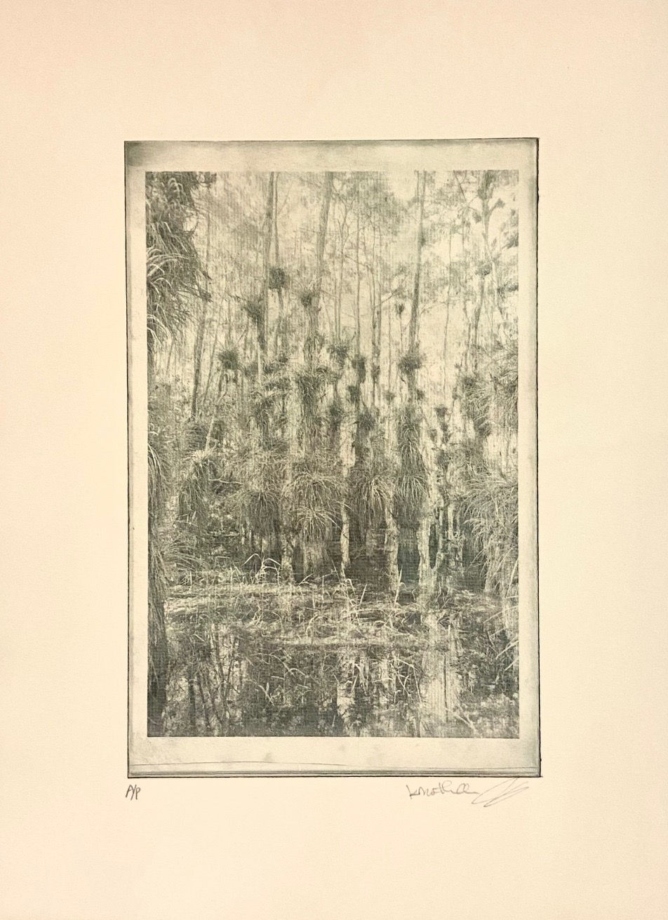 KRISTINA CHAN & ITAMAR FREED, Cypress Tree IV, 2019