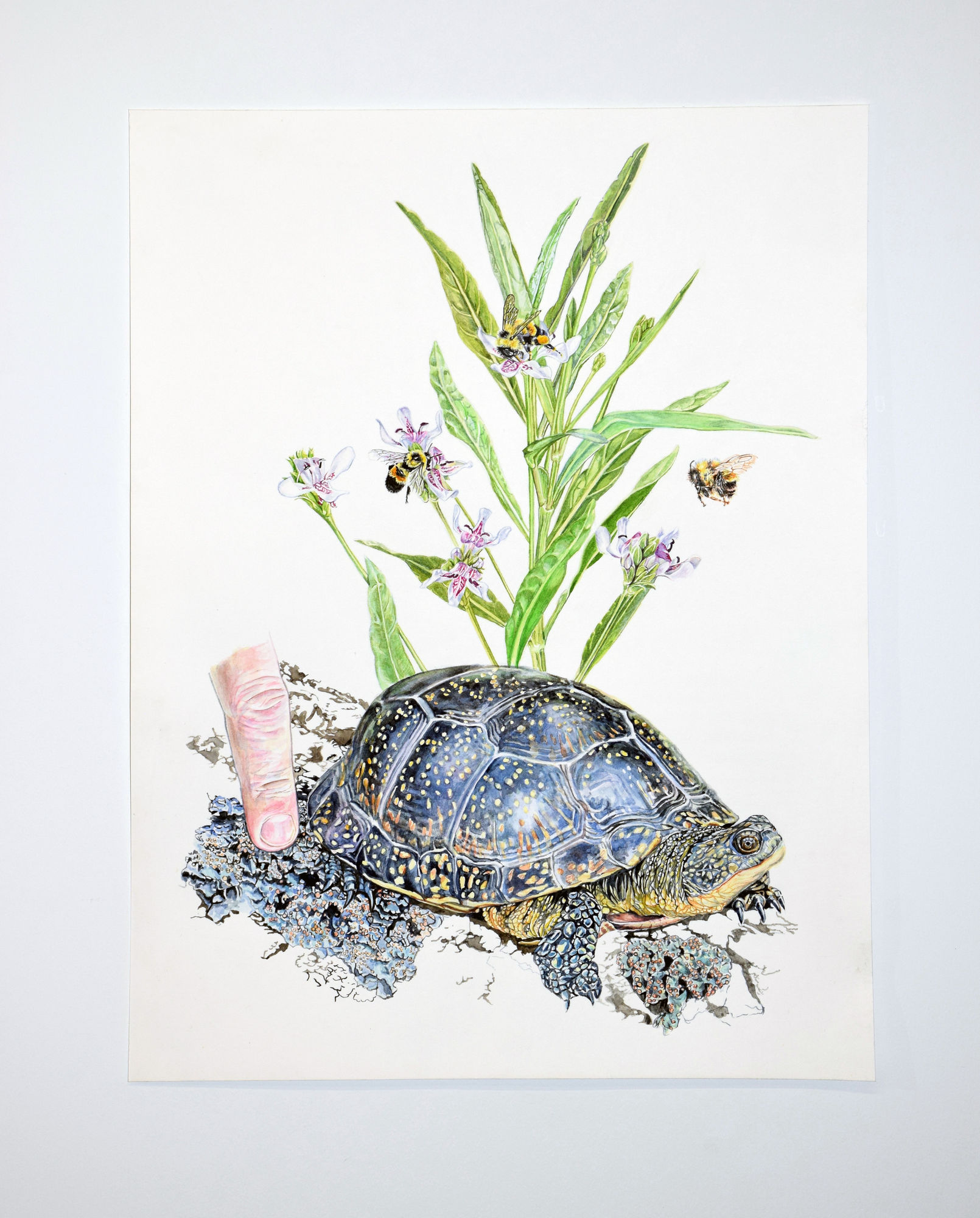 ANDREA WILLIAMSON, Livable Collaborations I, 2017