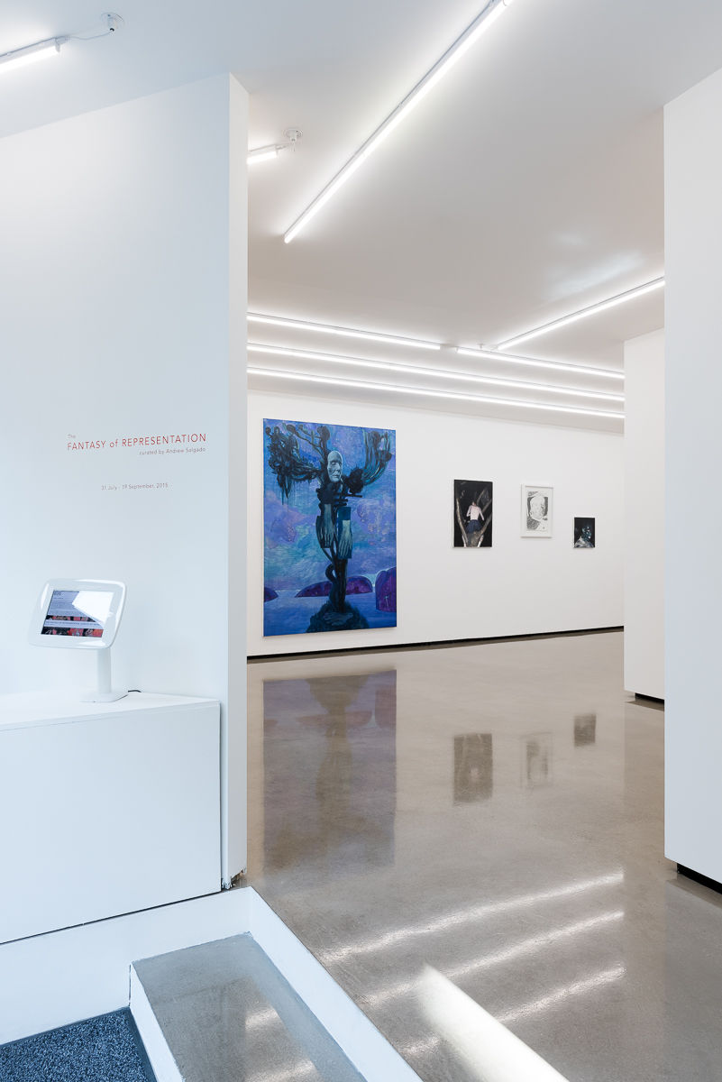 THE FANTASY OF REPRESENTATION