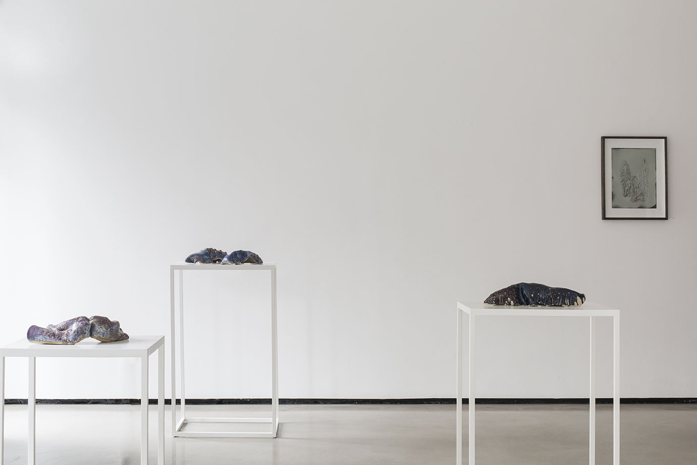 LUCIA PIZZANI: THE WORSHIPPER OF THE IMAGE