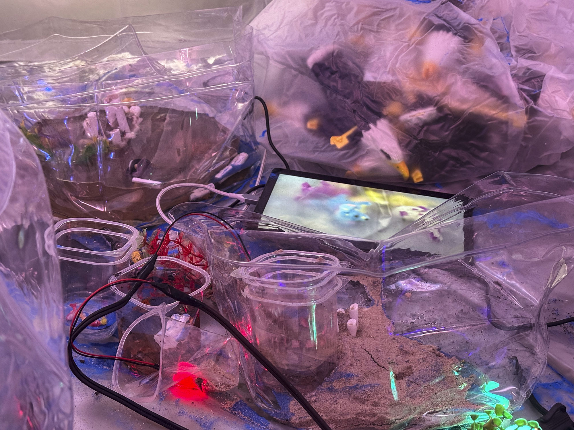 Spirits on the Ground