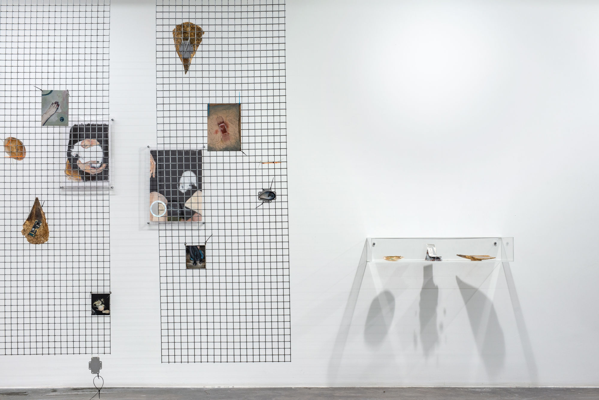 Artificial Bloom Fluid Archives