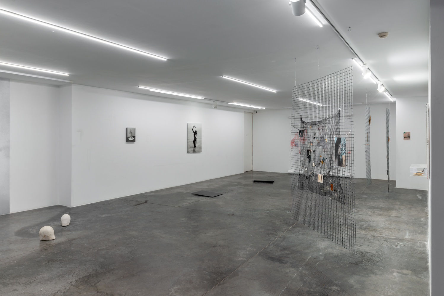 Artificial Bloom Fluid Archives