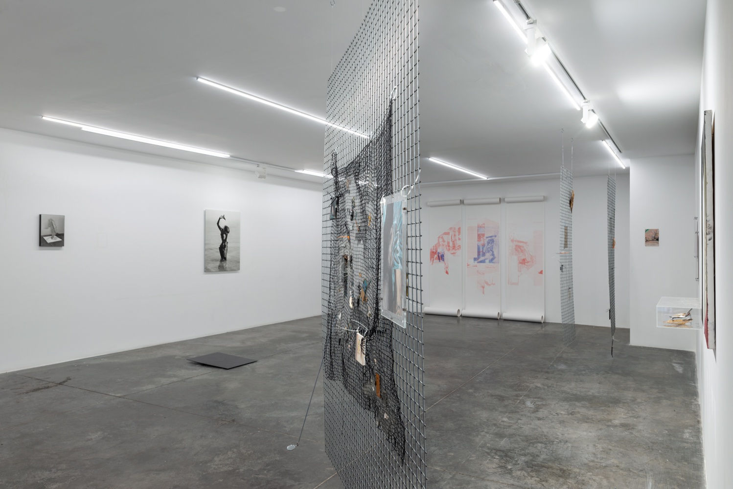 Artificial Bloom Fluid Archives