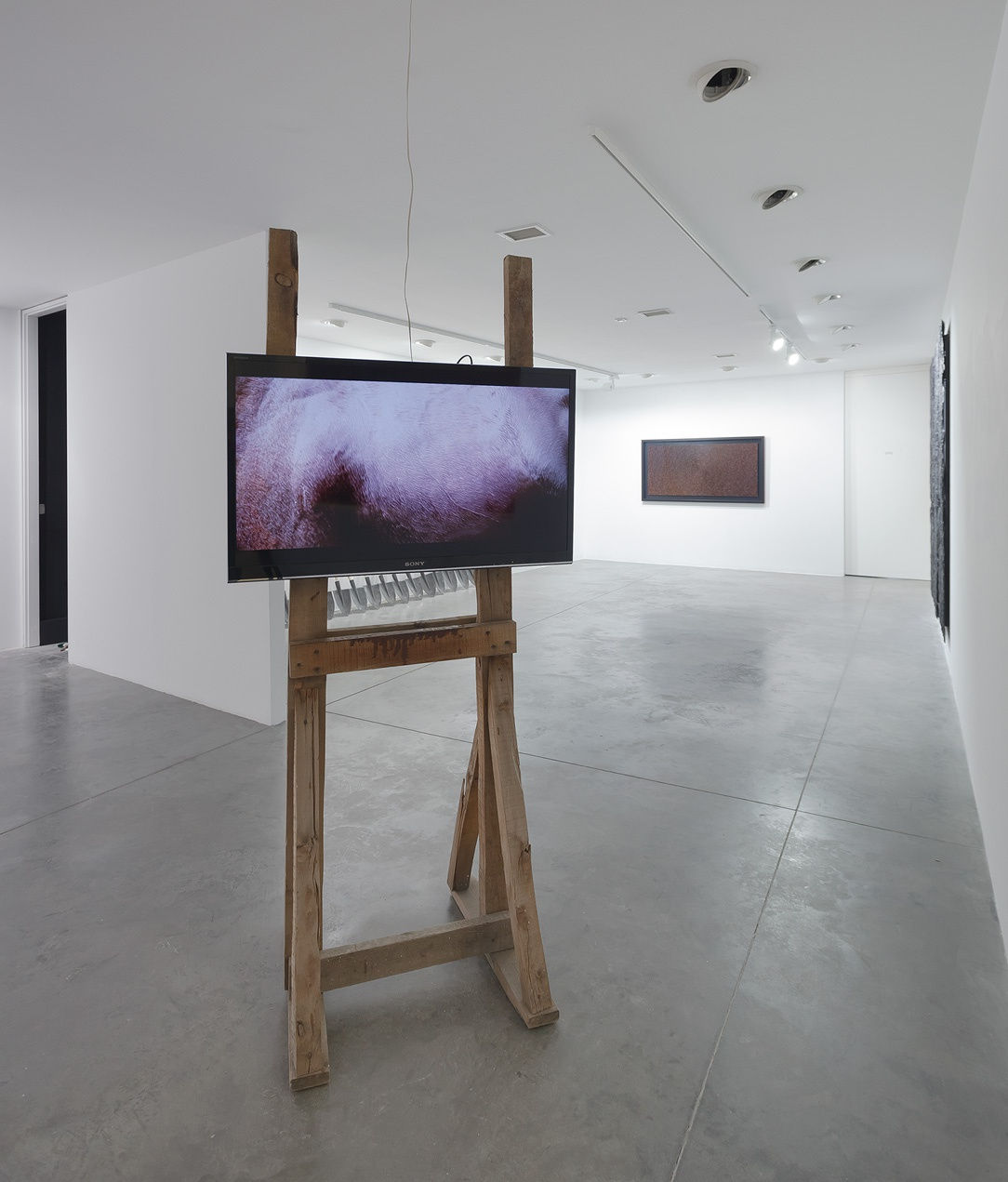 NATURE MORTE_salto mortale