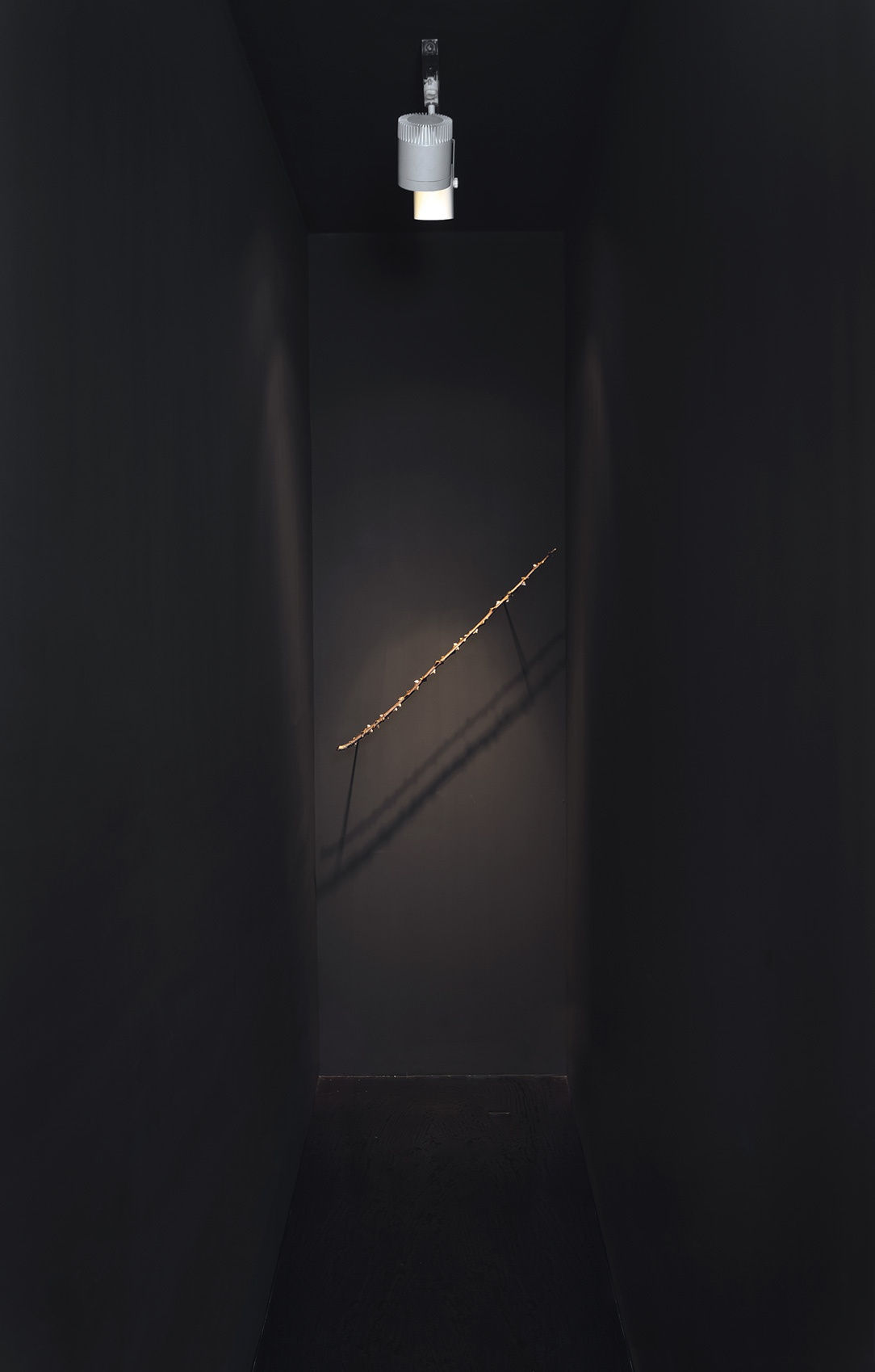 NATURE MORTE_salto mortale