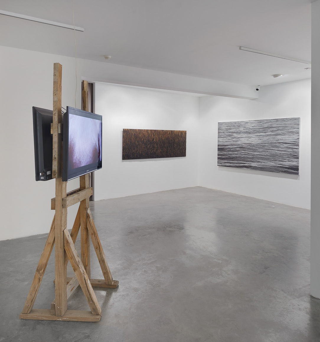 NATURE MORTE_salto mortale