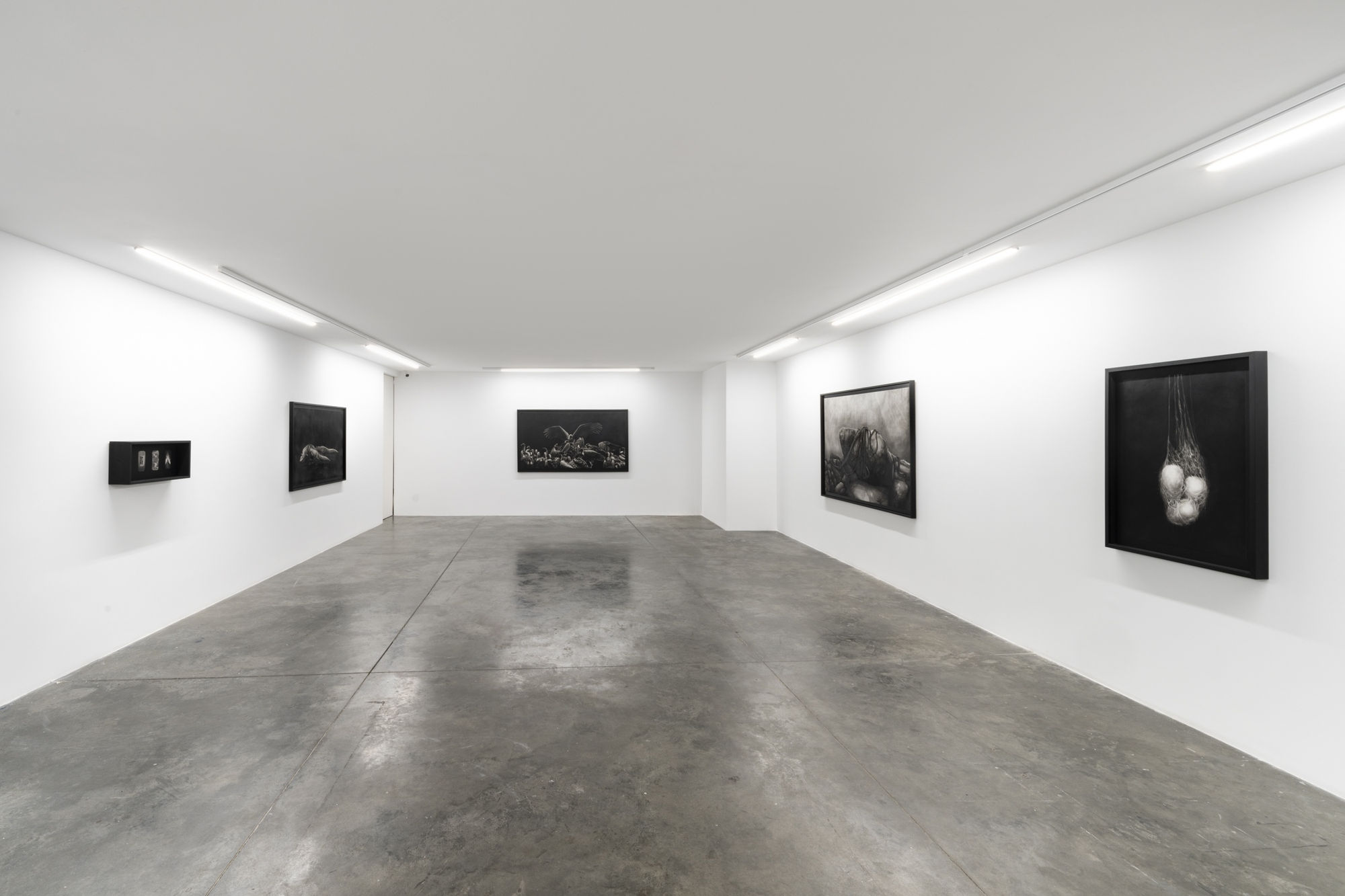 Silhouettes of Power