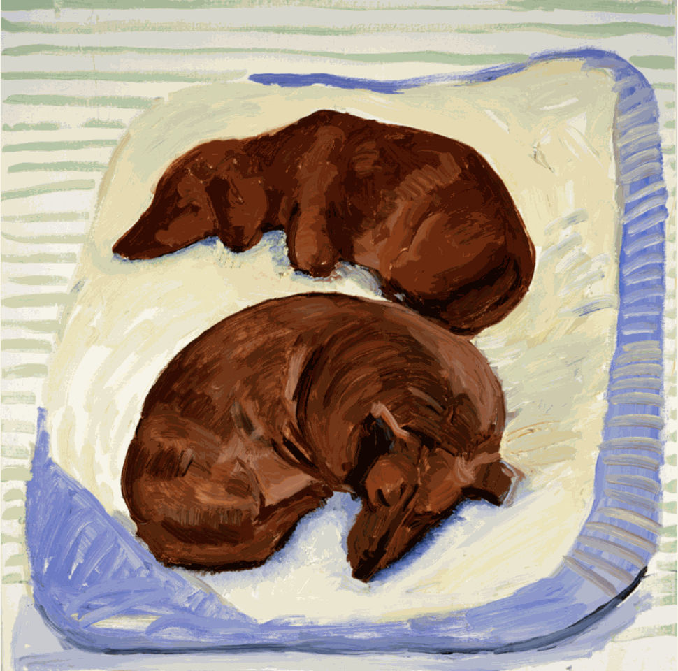 Dog Painting 3, 1994 Oil on canvas 24" x 24" Images Courtesy of The David Hockney Foundation &copy;David Hockney