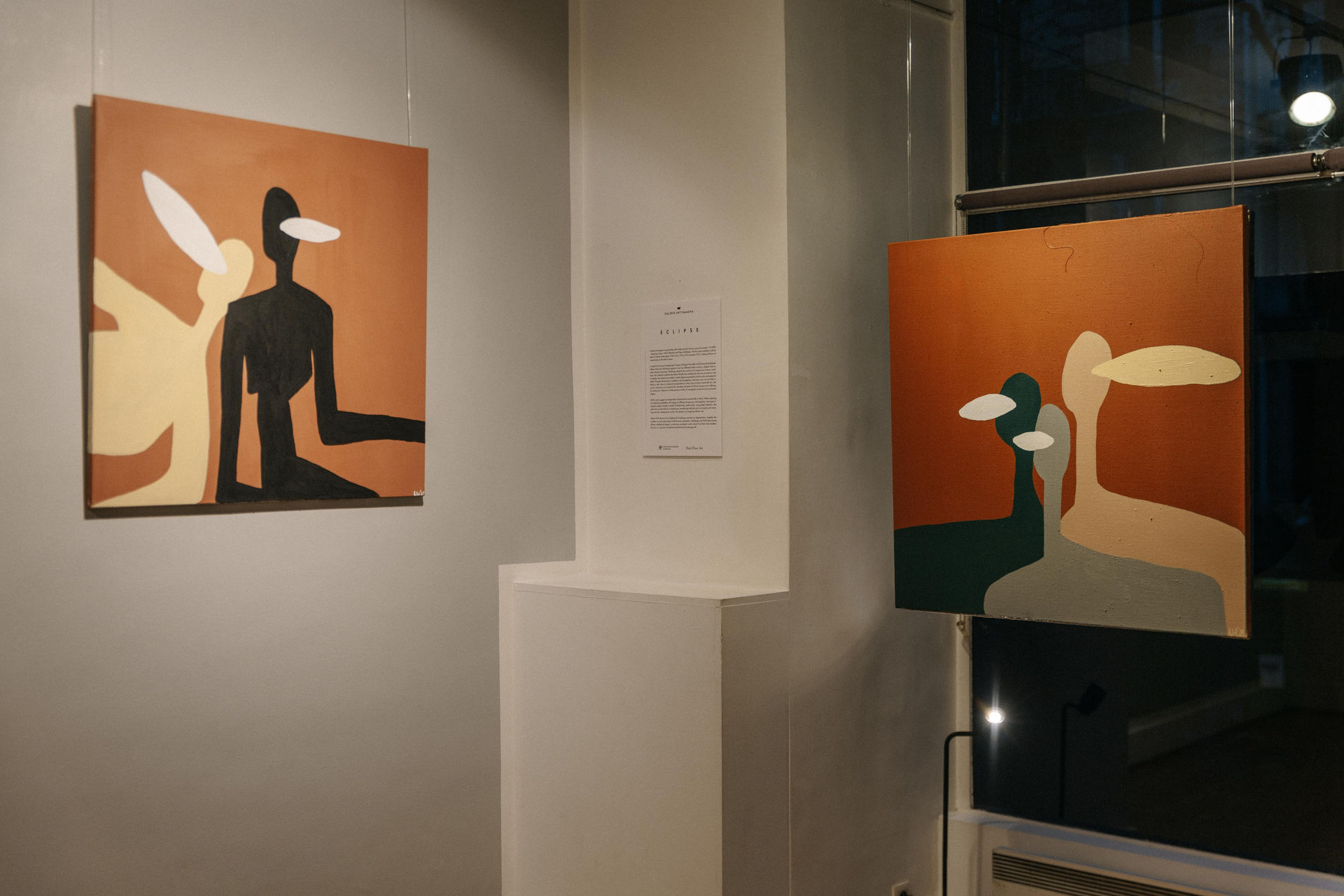 Lulama Wolf, Ndizalwe nge ngubo emhlophe Series, 2019 Installation view