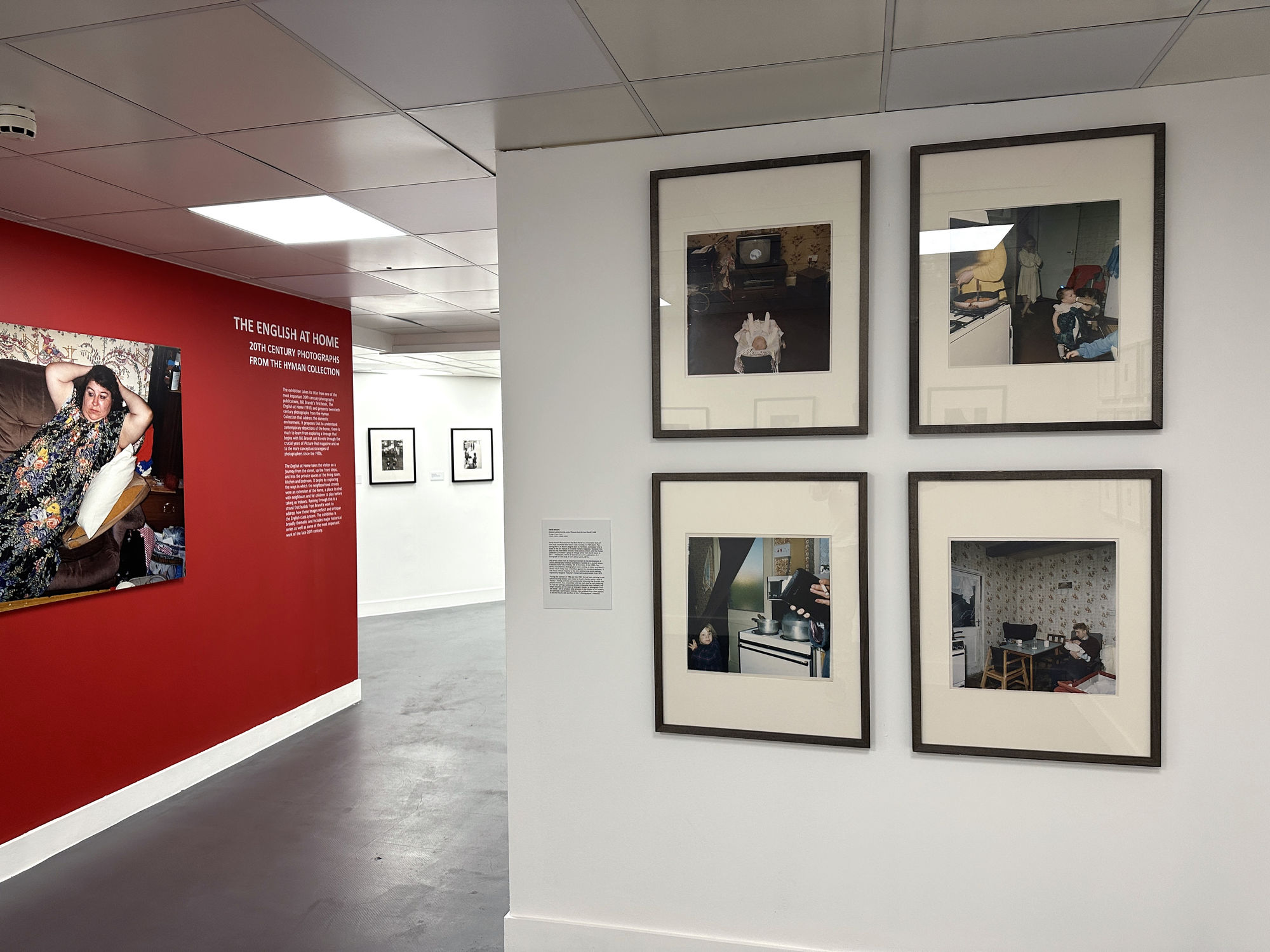 The English at Home. 20th Century Photographs from the Hyman Collection