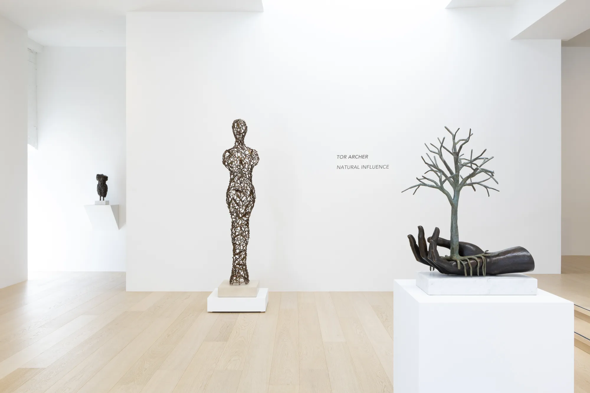 TOR ARCHER: NATURAL INFLUENCE