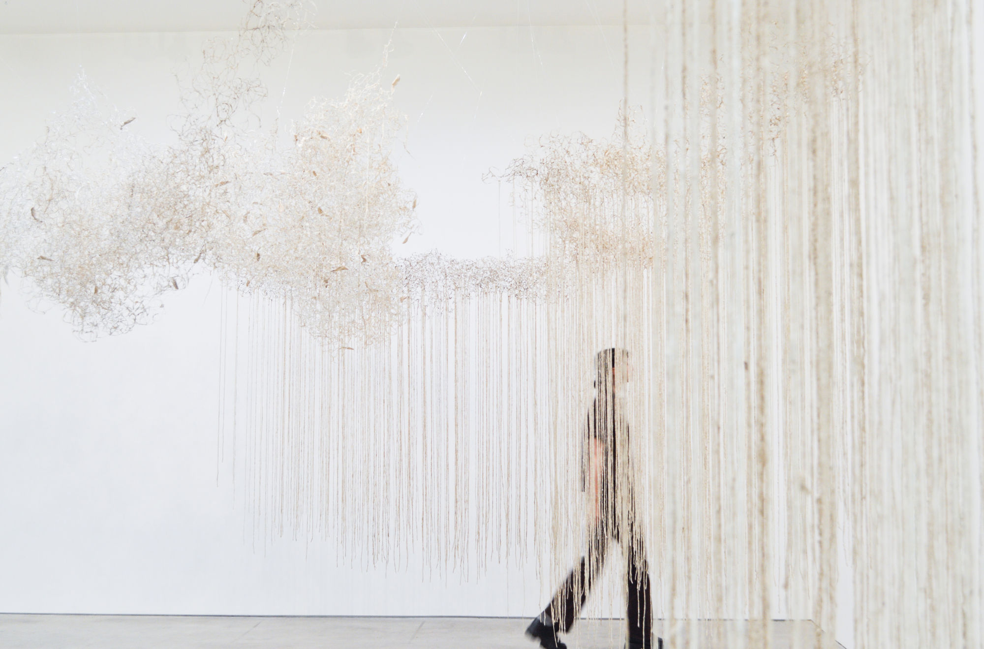 Yuriko Yamaguchi: The Trees are Humming