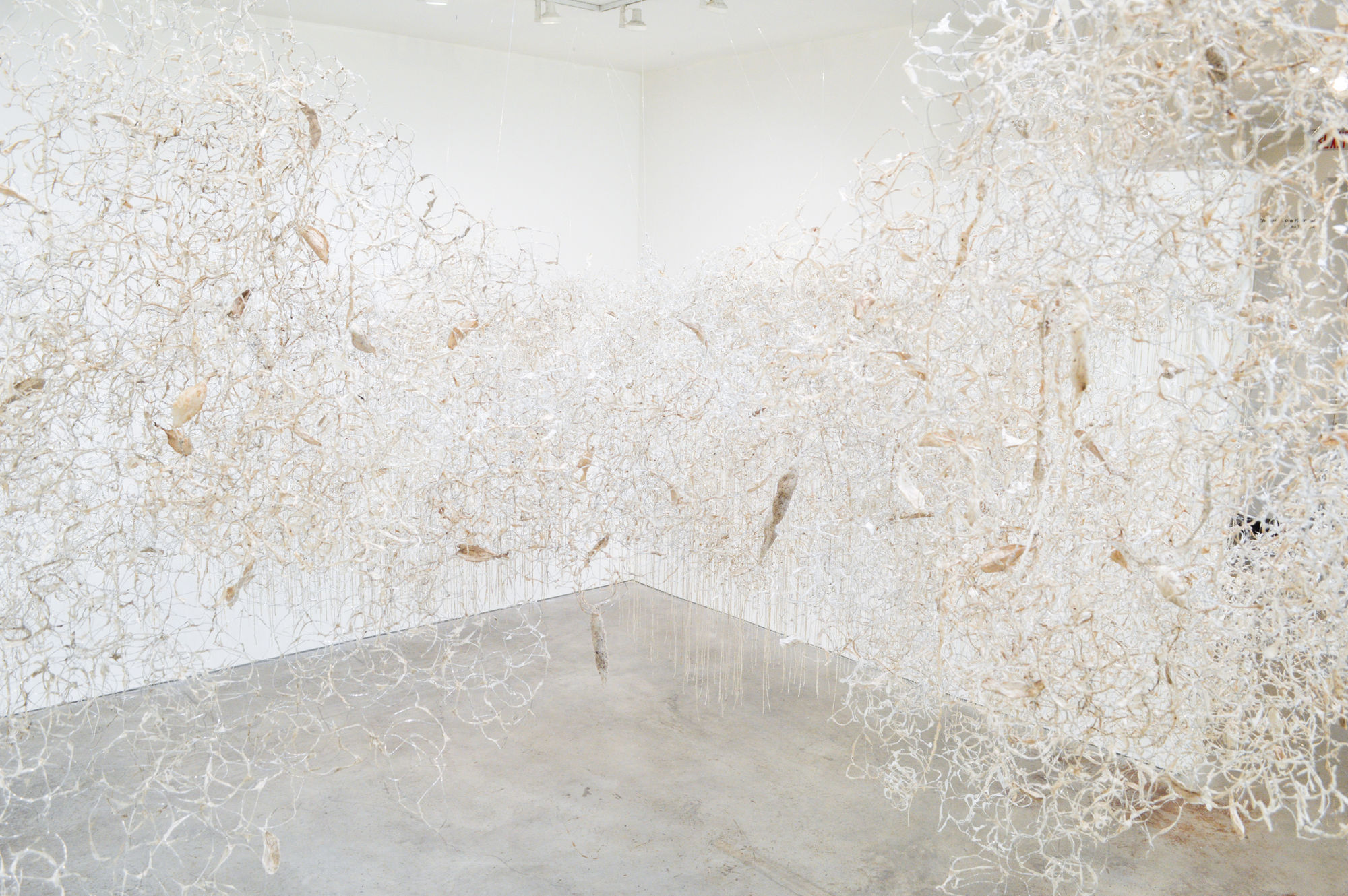 Yuriko Yamaguchi: The Trees are Humming