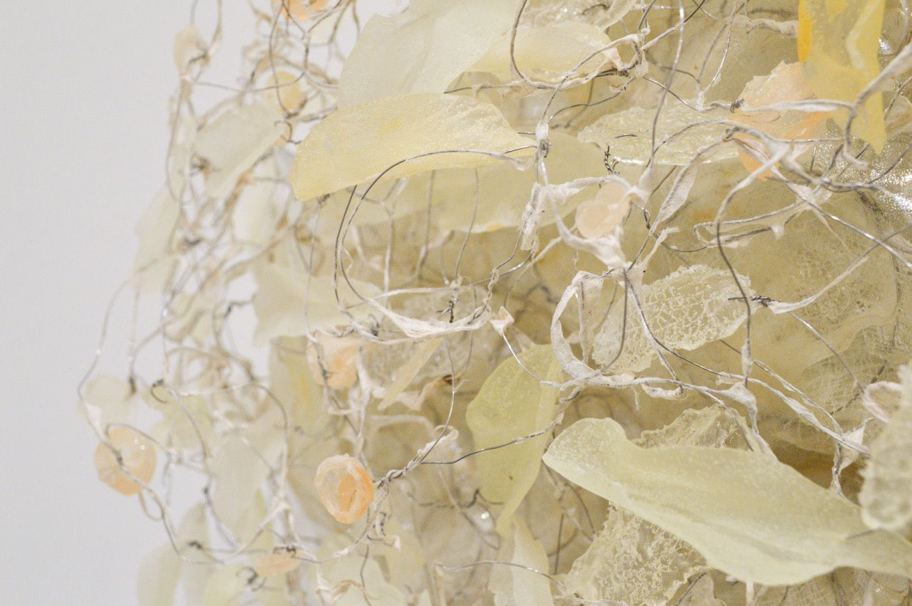 Yuriko Yamaguchi: The Trees are Humming