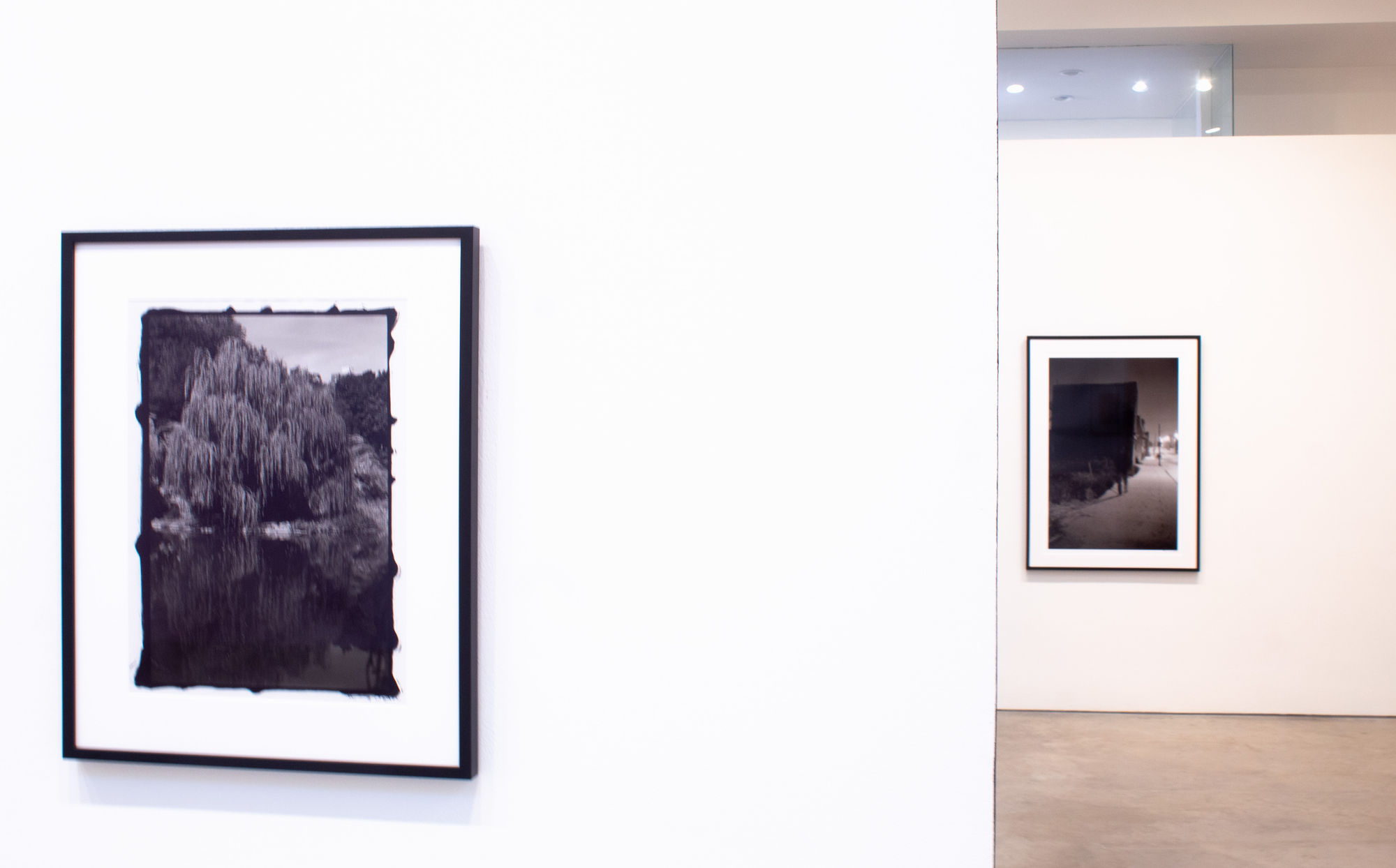 Ming Smith: Catching the Light