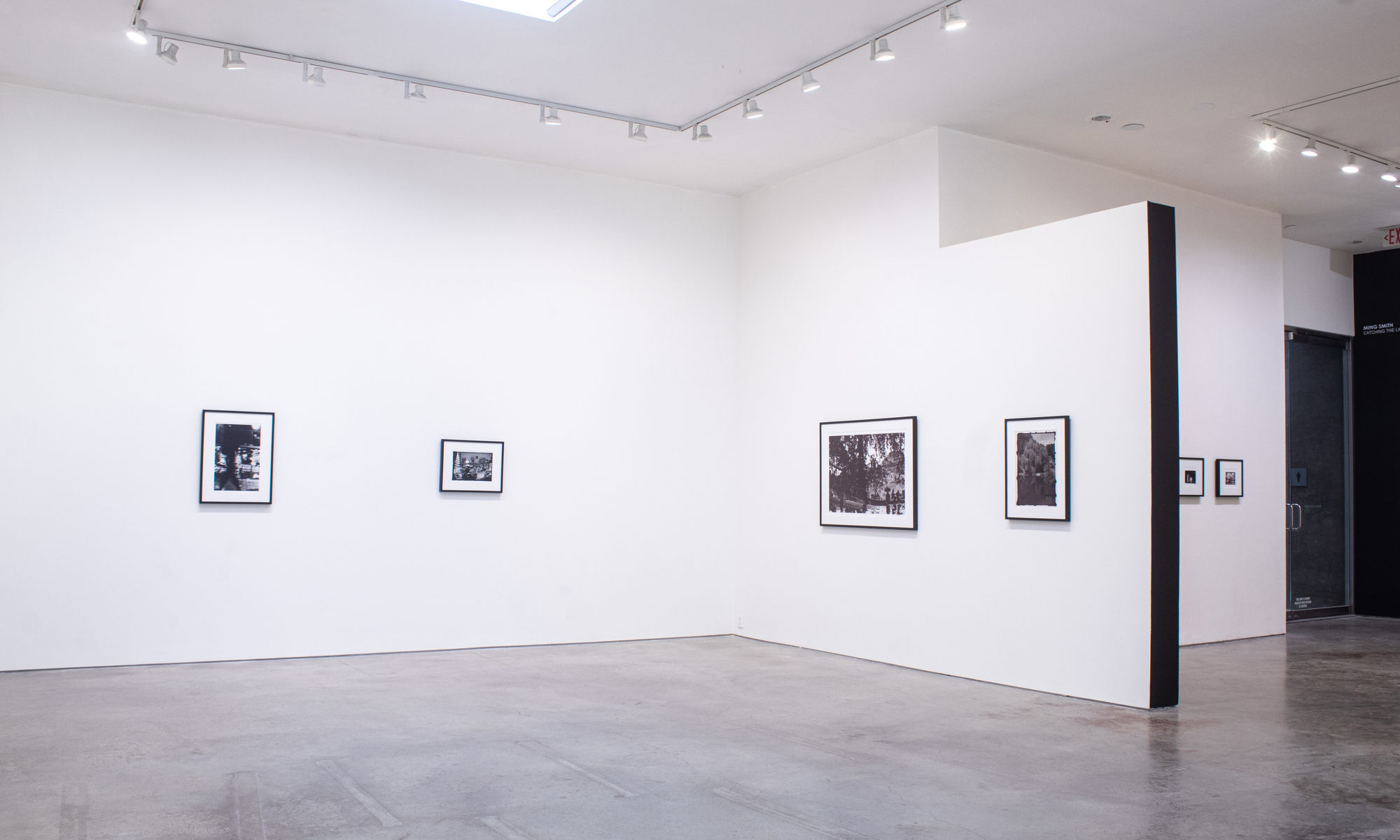 Ming Smith: Catching the Light