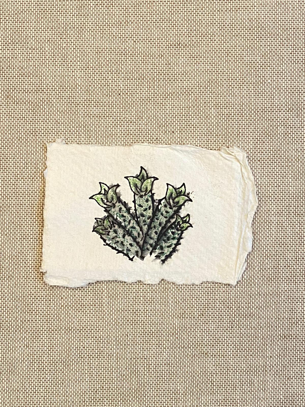 Cogitatio Meum | 2019