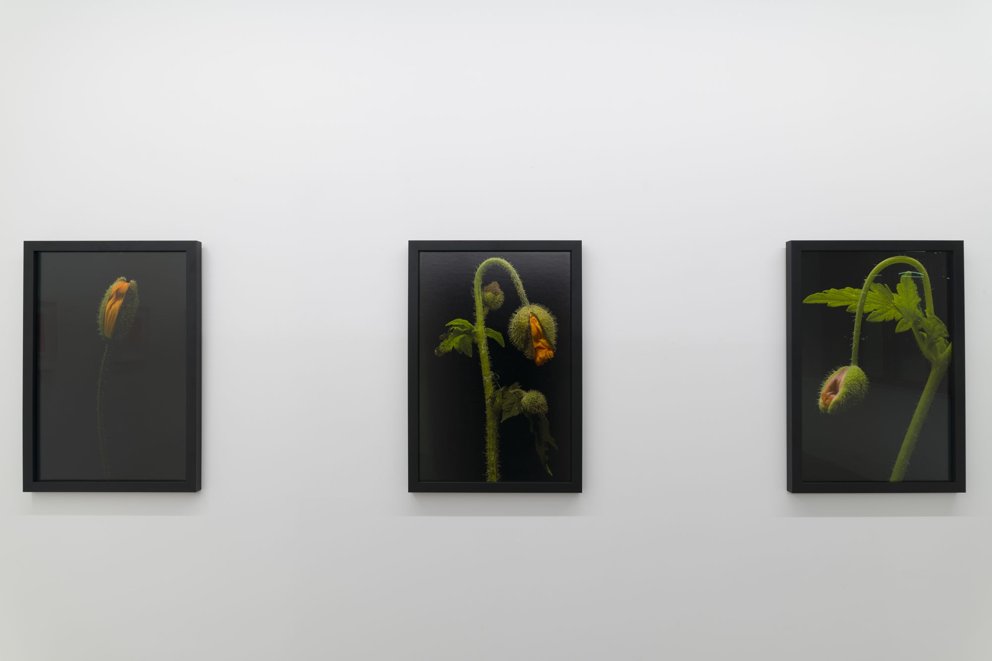 Winter presentation 2023