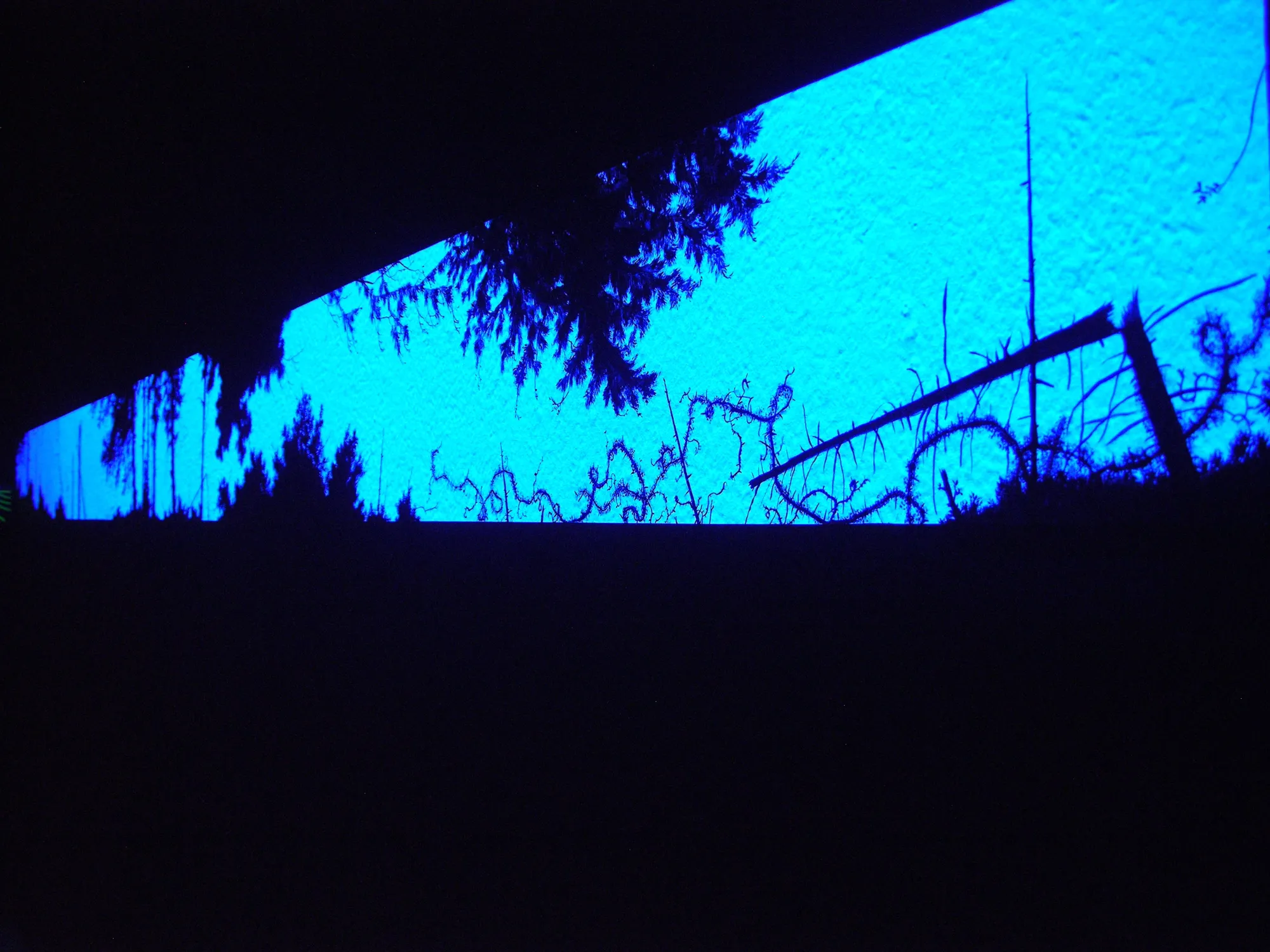 RATH MUSEUM, GENEVA, SWITZERLAND