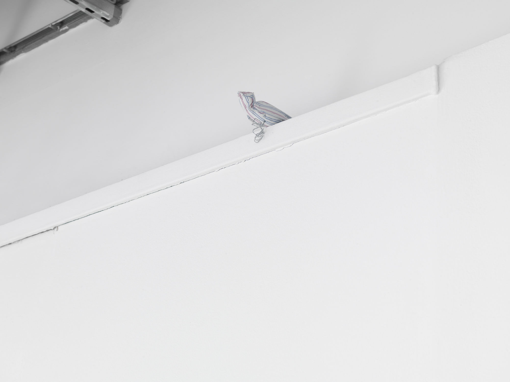 AD INTERIM - Guest Curator Yasmine Helou