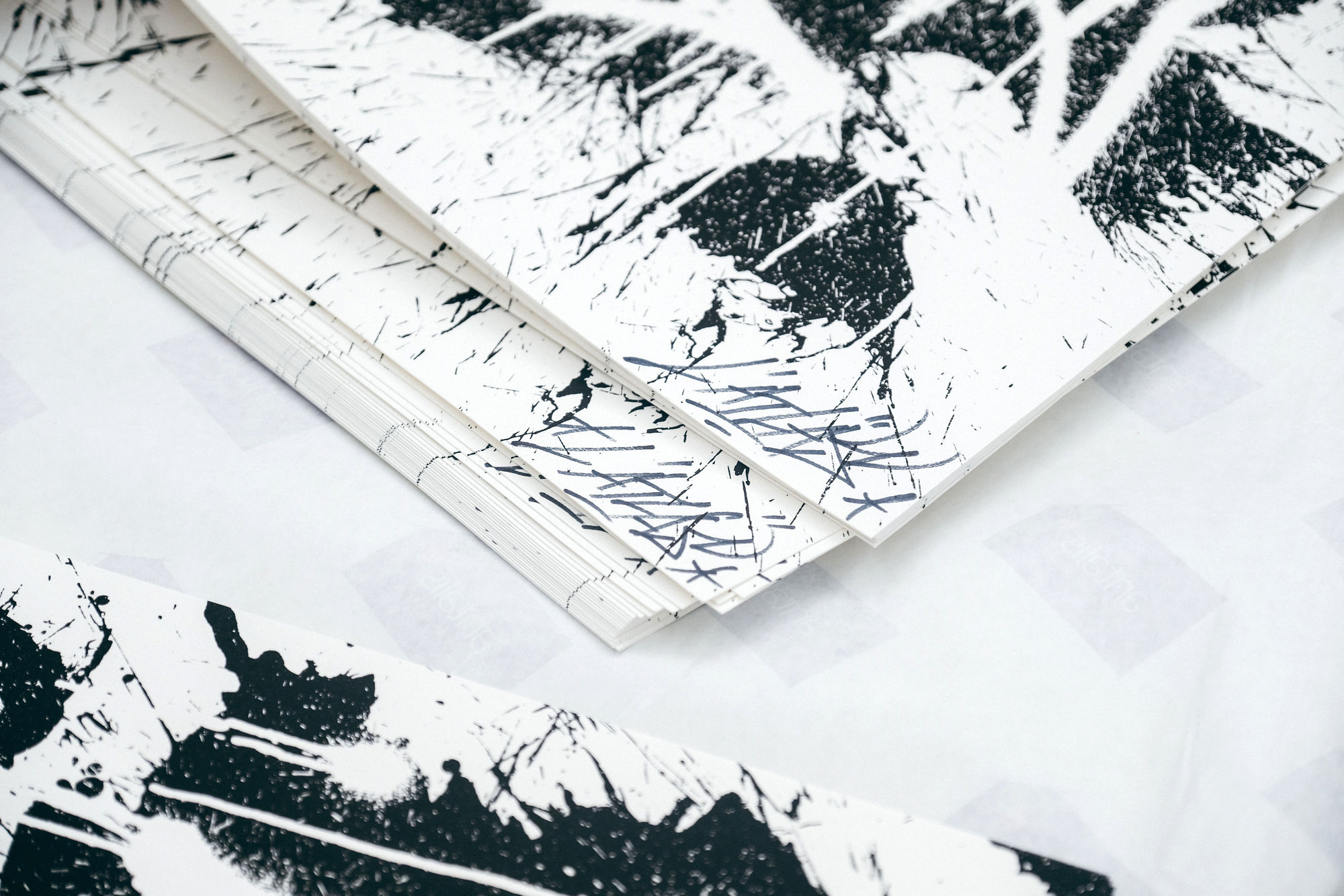 Speerstra Gallery Paris présente L'Atlas "Skills"