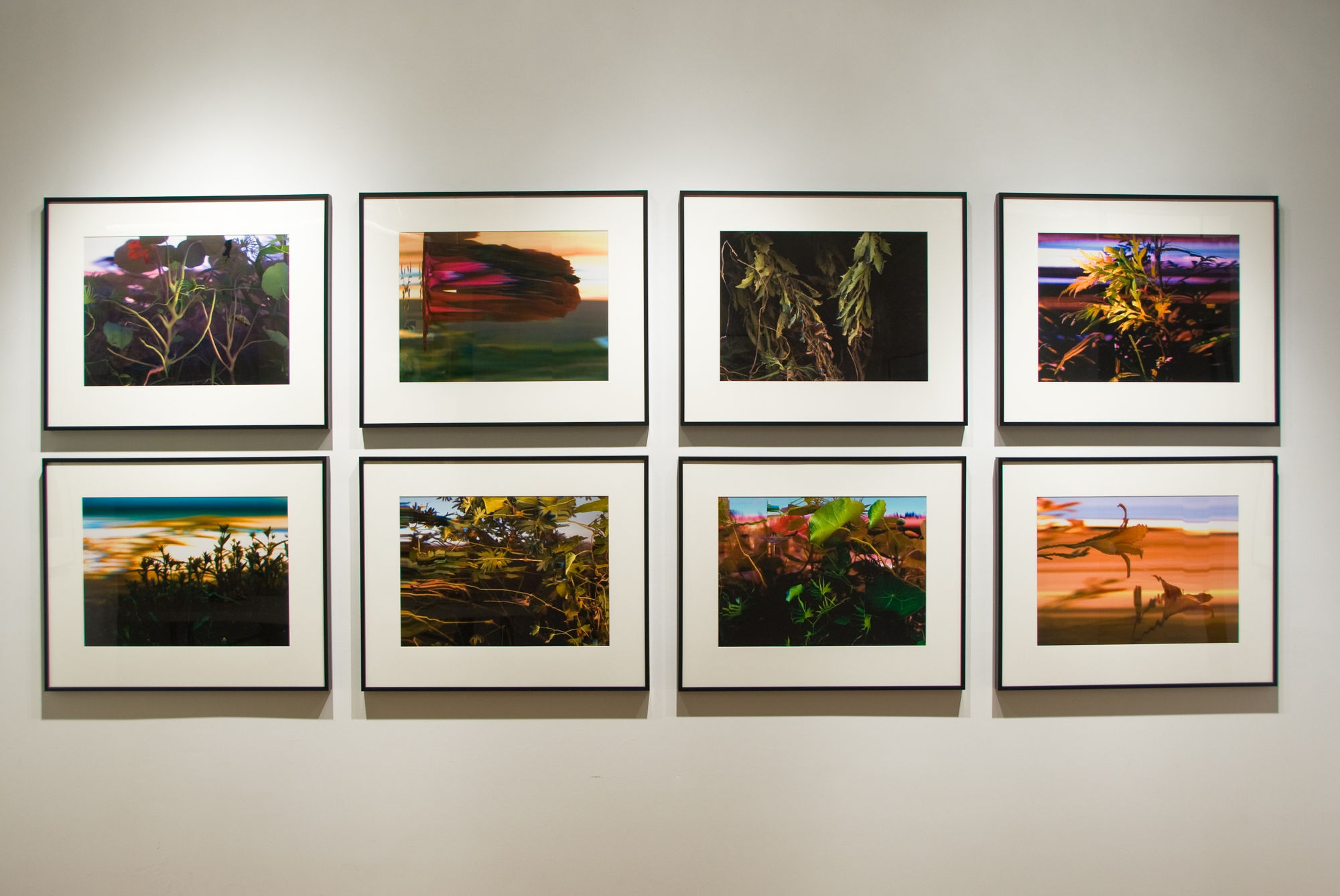 Bruce Checefsky: Gardens