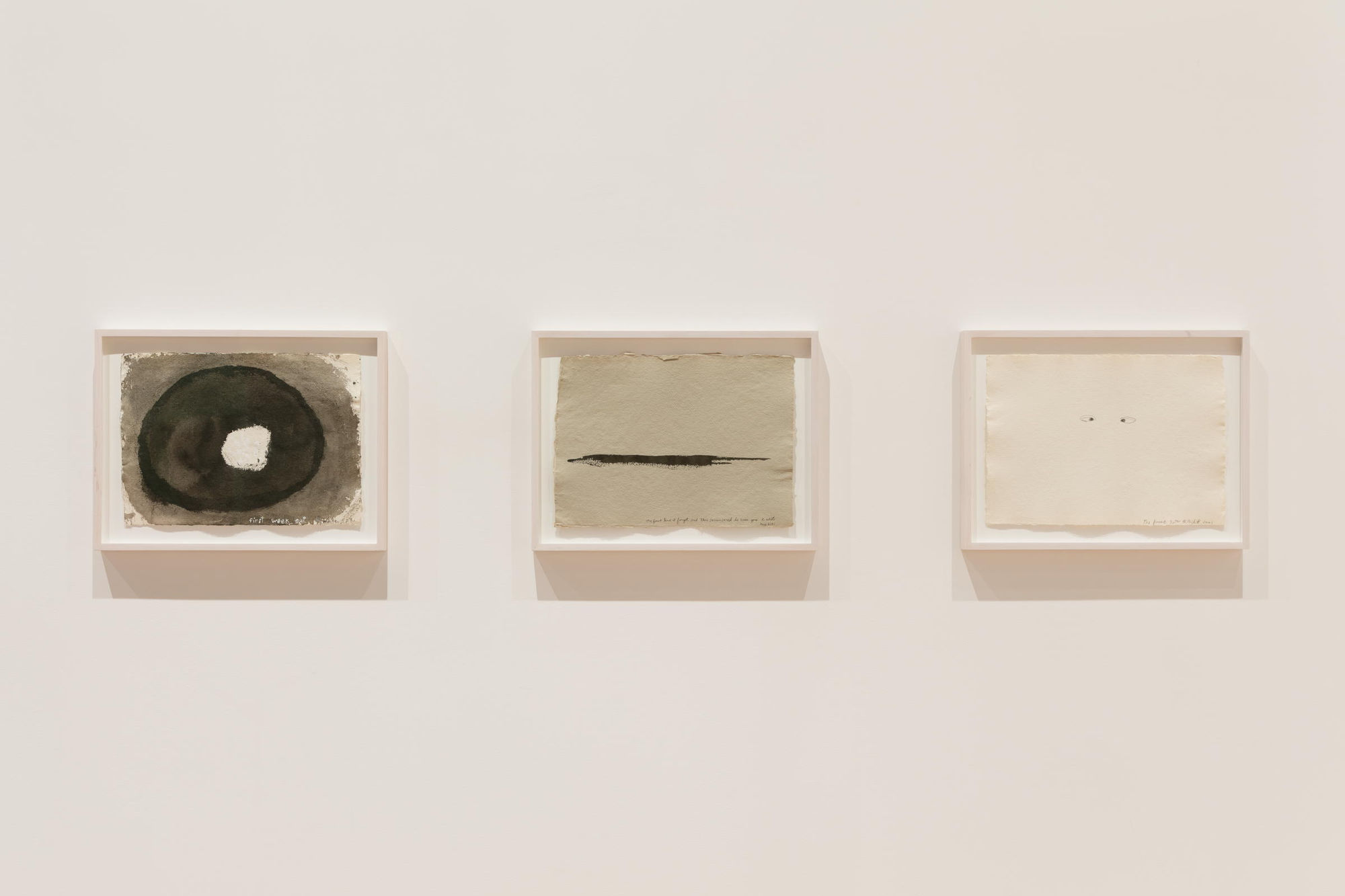 A Year of Firsts, Gallery Installation, 2017