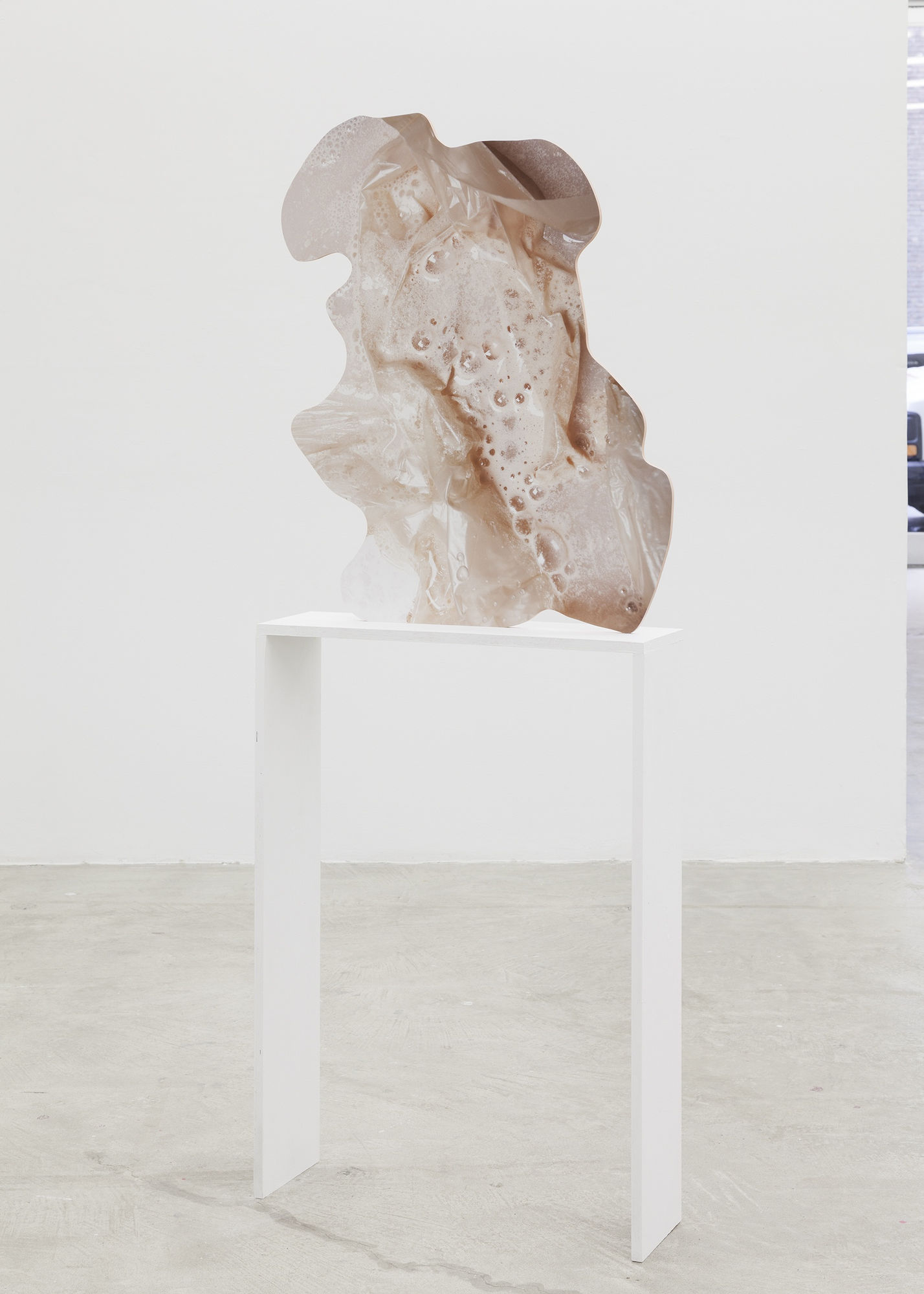 Rachel de Joode Contiguity II, 2015 archival inkjet print on PVC 29 x 21 inches